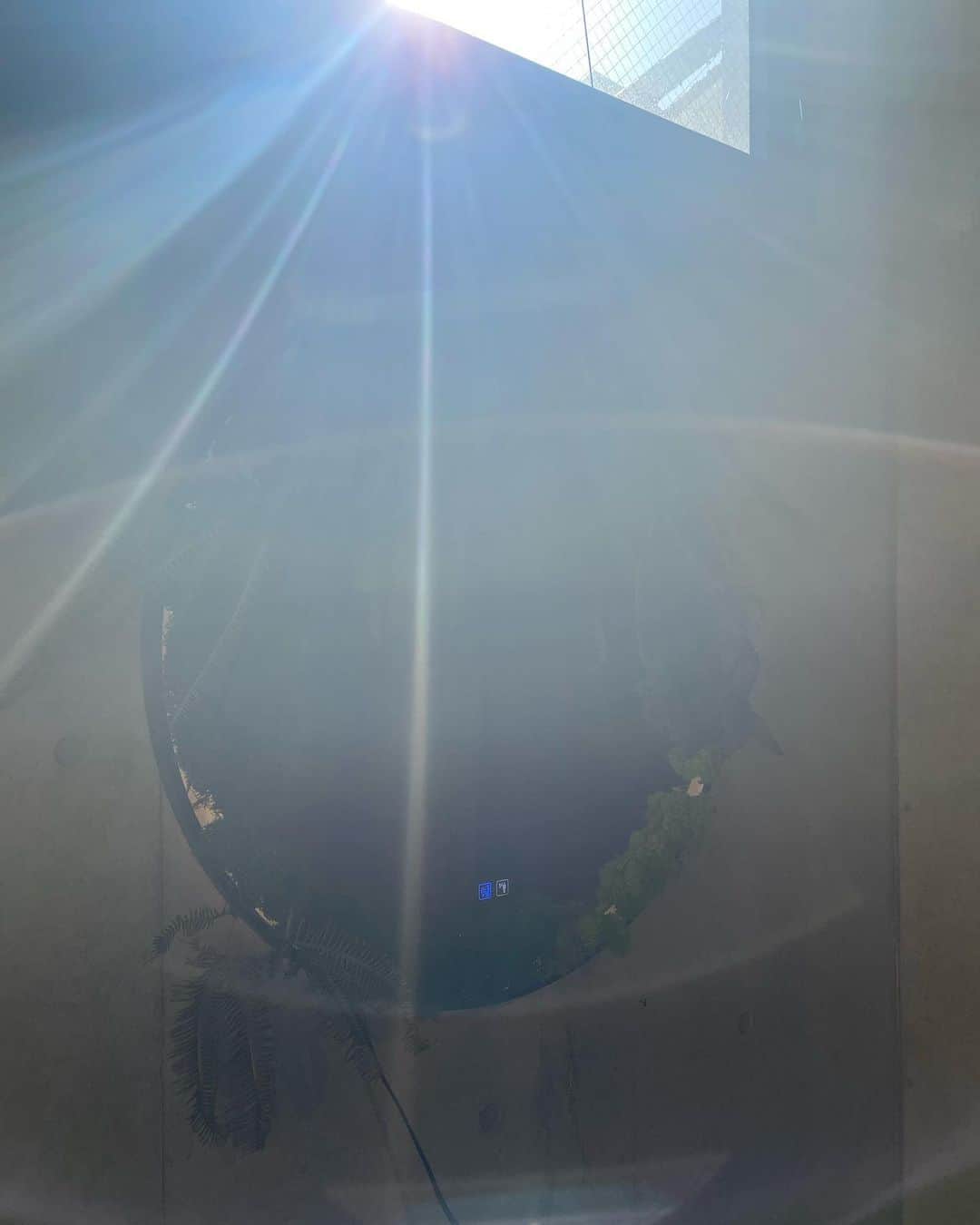 瀬戸口弘樹さんのインスタグラム写真 - (瀬戸口弘樹Instagram)「昨日は　@shun_6_20  シュンティーの個展、「光の盆栽展」に行ってきました🌳✨  作品の写真をとったら光が✨  さすが光の盆栽展☺️🫧✨  植物の生命力を表現されていて光を感じる作品ばかりでした🌸🫧✨  シュンティーは盆栽から人々を光に導くひとなんだなと、感じました🫧✨  シュンティー、誘ってくれてありがとうbeauty🌸🫧✨  @wabisabi_natureart #wabisabi_natureart #バチェロレッテ2 #バチェロレッテ　#佐藤駿　#おみちゃん　 #盆栽　#光の盆栽展　#シュンティー　 #瀬戸口弘樹　#美容男子」4月10日 14時41分 - hirokisetoguchi
