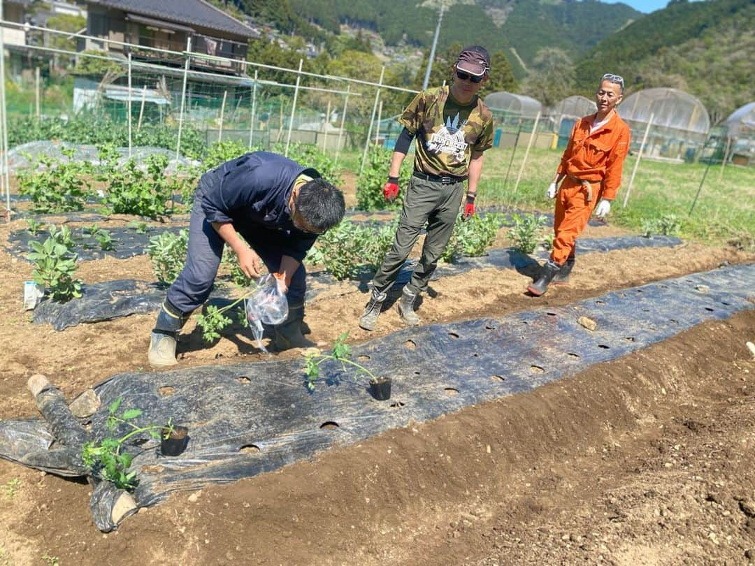 福島和可菜さんのインスタグラム写真 - (福島和可菜Instagram)「✨SDGs✨最近は特に良く聞くワードになりました😄  サロンメンバーと共にホップや野菜を育てている🌳👟RUN&BEER🍺 Garden Park🌳  昨日はポカポカ陽気の中、  メンバーと共にまた新しく出来上がって行く世界を楽しみに、新しい野菜達を植えたり、整備をしたりしました😁  私が行けない時でもみんな本当に素敵に整備してくれていて、行く度にパワーアップし、グレードアップしているから驚きの連続だし、マジで楽しみしかない😁  そして改めて‼️‼️‼️ メンバーや、畑を手伝って下さっている皆様方にも感謝しかない🥹✨  畑をやりながら、畑の裏で獲れたシカ肉をいただき、七輪で焼いて食べましたー🤤  そしてメンバーのお料理番長ゆかりんが、  タケノコご飯や春巻きを作ってくれた☺️  青空クッキング🍳  めちゃくちゃ美味しかったよ〜🥰  土を触ってる時間と同じくらい、  ランチタイムは長かったけど、それはそれで良し😄  楽しい時間は多い方が良いよねっ😁  昨年はホップも豊作だったので、今年はさらに頑張りたいな🍺❤️  そして、野菜も、  小松島市さんのオクラも順調に育ったし、 野菜品評会でも入賞したし、  さらにパワーアップしていきたいと思います🥳  #runandbeer #Garden #Park #オンラインサロン #online #salon #member #最高 #ありがとう #感謝 #SDGs #シカ肉 #炭火焼き #BBQ #畑 #畑女子 #青空クッキング #ホップ #🌳 #🍺 #👟 #❤️ #✨ #☀️ #🥰 #🥳 #🍳 #🙌」4月10日 14時50分 - fukushimawakana