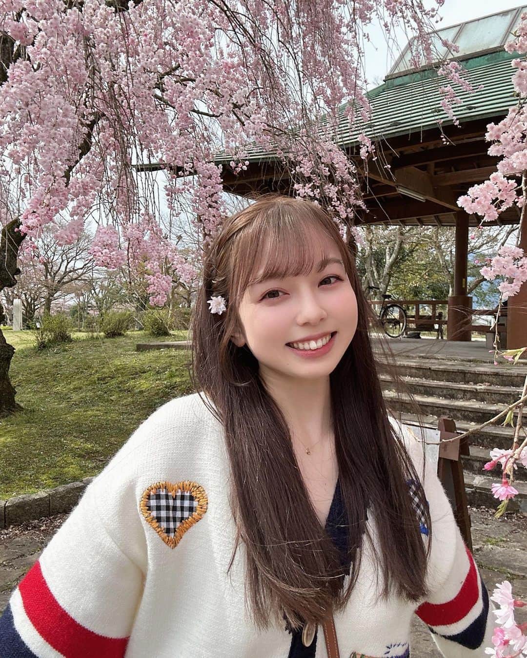 西田ひらりさんのインスタグラム写真 - (西田ひらりInstagram)「ちょっとだけ実家に帰省していました☺︎ ちょうど桜が満開で、綺麗だったなぁ🌸  こーんなに綺麗なのに、周りに誰もいなくて、独り占めしちゃった気分😚🌵」4月10日 14時52分 - hirari_nishida