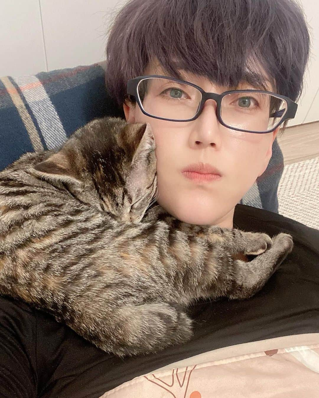 麗華さんのインスタグラム写真 - (麗華Instagram)「Two weeks have passed since Kamui came to my house.🐈  I've been living alone for a long time, but now the house is very lively."💕💕」4月10日 15時14分 - reika_japan_