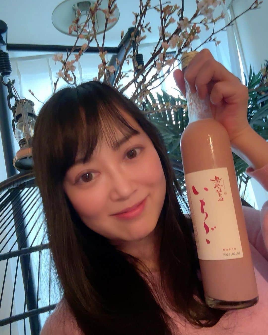大西結花のインスタグラム：「ほんっとーに美味しい「日本酒」 イチゴが大好きな人にはたまらないお味かと🍓 いちごのお酒って変に甘かったり、アルコールが妙に濃いものも多いと思ってるんですが、これは絶妙にバランスが良くて美味しいのです！苺ヨーグルトみたいな感じ🍓 美味しくてすっす行っちゃうのが危険かも😆期間限定だからすぐ無くなっちゃうのよねぇ〜。これ教えてくれた友人に感謝✨  #yuka #yukaonishi #大西結花 #日本酒好き #鳳凰美田 #鳳凰美田いちご #美味しい #sake #strawberry #japanese #japanesesake」