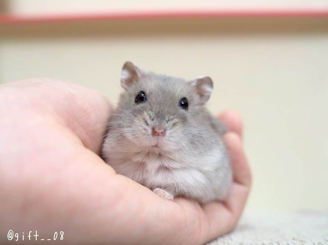 manoのインスタグラム