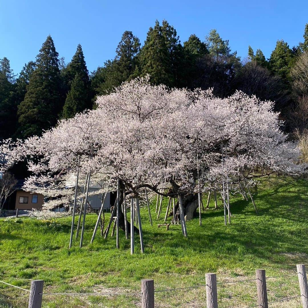 飛騨高山 旅館あすなろのインスタグラム