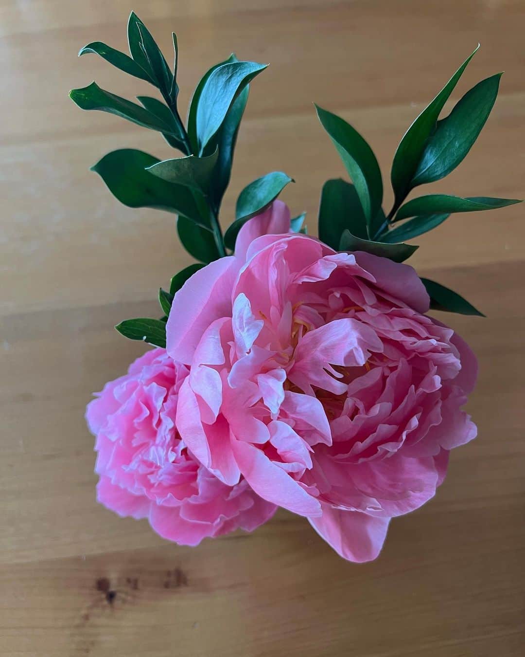 のインスタグラム：「Happy Easter 🐇 what a beautiful season of renewal and hope and light. And my favorite flower: peonies. 💖💫」