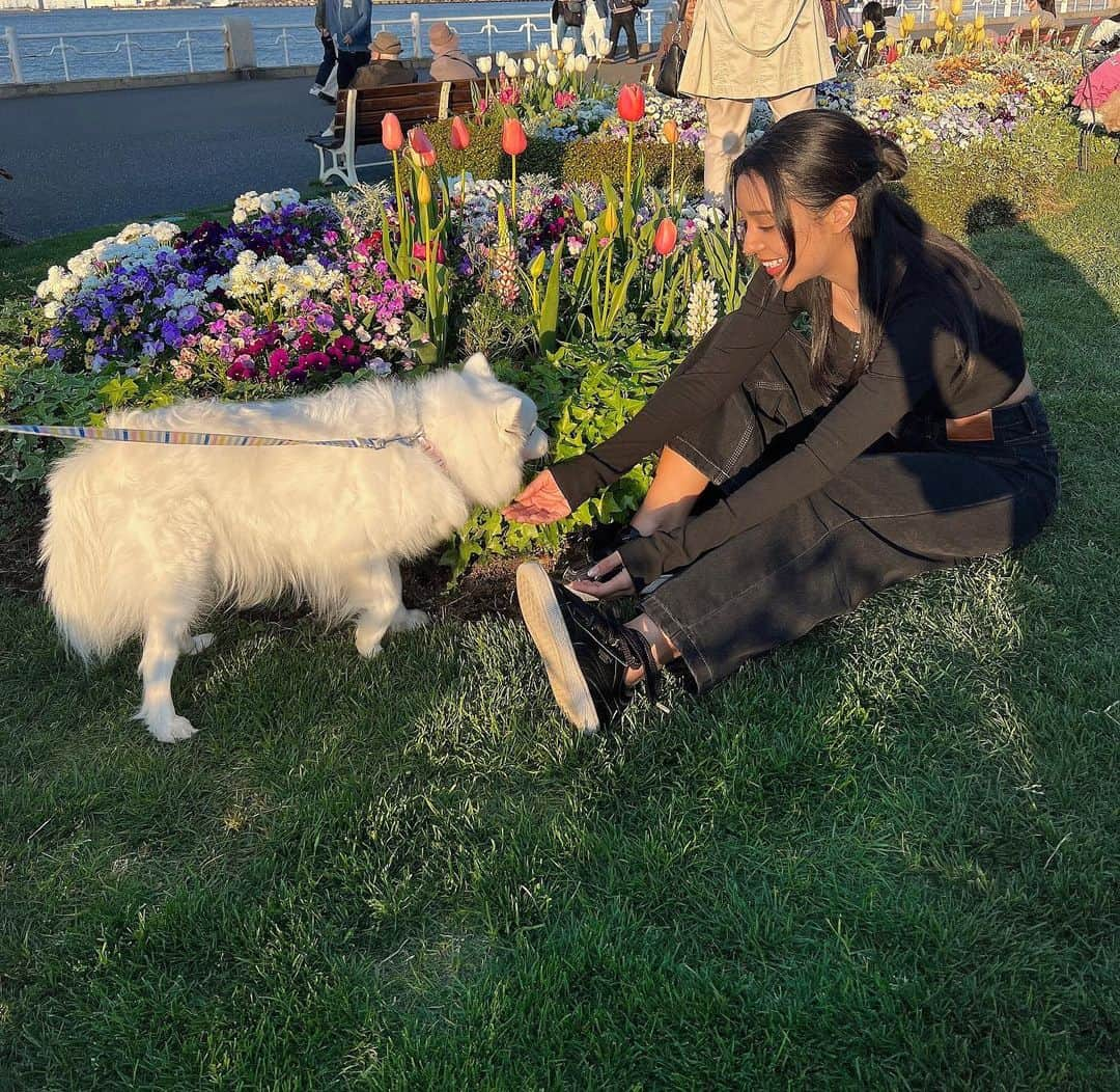 小松ナオさんのインスタグラム写真 - (小松ナオInstagram)「🌼🌿 ⁡ ⁡ ⁡ ⁡ ⁡ #山下公園#花畑#横浜#꽃밭#봄#picnic#spring」4月10日 20時00分 - komatsu__nao