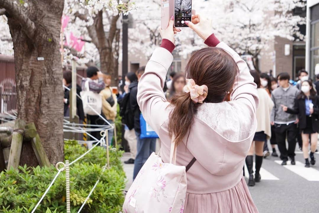 真坂美帆のインスタグラム：「🌸  お花見その2 わたしのお母さんも桜色だった🌸😂💕  #お花見  #🌸  #さくら  #桜  #桜2023  #桜コーデ  #カメラ  #カメラ初心者  #写真  #写真好きな人と繋がりたい  #α6400  #声優  #桜坂美穂  #みーちゃんのつぶやき」