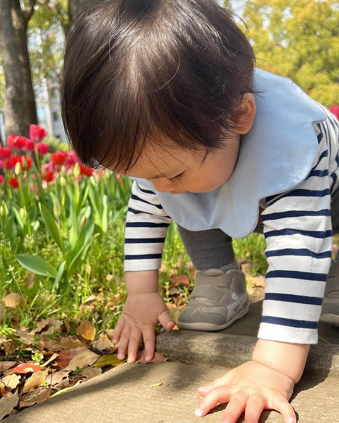 Sayuri（岸岡小百合）さんのインスタグラム写真 - (Sayuri（岸岡小百合）Instagram)「* 今の時期、横浜はお花が満開🌷  横浜の街を舞台に 美しい花と緑をネックレスのようにつなぐ 「ガーデンネックレス横浜 2023」が開催されていて、 横浜公園のチューリップや赤れんがのフラワーガーデン、 山下公園などなど、見どころ満載😊  5月には山下公園のバラ園が満開になります🌹  週末もチューリップを観に行ってきました😊  この日着ていた　@_bluelea_ のトップスは あたたかい日にぴったりで、ヘビロテしています🤣‼️ 形がとーっても可愛くて、 カジュアルにもフォーマルにも着ることができますよ😊✨  4/14に再販するみたいです♪  #bluelea #ootd #横浜 #横浜公園　#春 #spring #ガーデンネックレス横浜  #ガーデンネックレス横浜2023 #アンテプリマ #anteprima」4月10日 17時08分 - sayuuringo