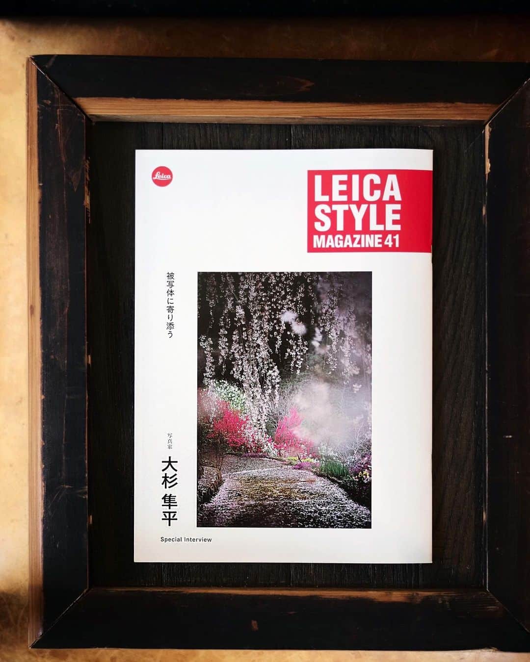 大杉隼平のインスタグラム：「LEICAのPR誌「ライカスタイルマガジン」で表紙、特集を組んで頂きました。 @leica_camera_japan   表紙に書いて頂いた「写真家大杉隼平 -被写体に寄り添う-」  寄り添うことができるのか。そこにある背景、積み重ねた時間。大切なことを学び、伝えたい気持ち。  写真家としてなにができるか。深く考える機会を頂きました。  #leica #leicastylemagazine #ライカ #ライカスタイルマガジン #leicaphoto #leicaphotography #leicam #noctilux #写真 #写真家 #photo #photographer #shumpeiohsugi #shumpeiohsugi_photographer #大杉隼平」