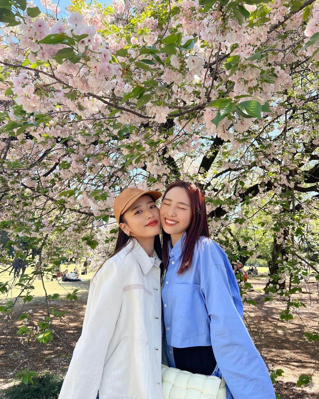 近藤千尋のインスタグラム：「今日はすぐ幼稚園が終わったので ファミリーで新宿御苑へ🌸😍 明日はいよいよ入学式💕☺️ まだまだ赤ちゃんだと思ってた次女が 幼稚園に通うなんて。。。🫣(心配)  みんなも新生活始まった頃かなぁ⁉️✨☺️  残りの桜がとても綺麗だったよぅ💕🥰  今日は、家族でばぁばのお誕生日会🎂です🤍🤍🤍」