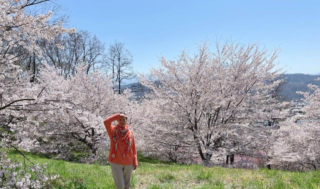 深澤里奈さんのインスタグラム写真 - (深澤里奈Instagram)「◯◯◯  軽井沢もちらほら桜を見かける季節になってきました。 去年より1週間位早いようです。  東京はすっかり卒業シーズンの花になってしまいましたが、長野県はちょうど入学式の頃ですね。  やっぱり桜は良い！  いつまででもそこに身を置いて眺めていたいです。  #桜」4月10日 17時36分 - rinatj