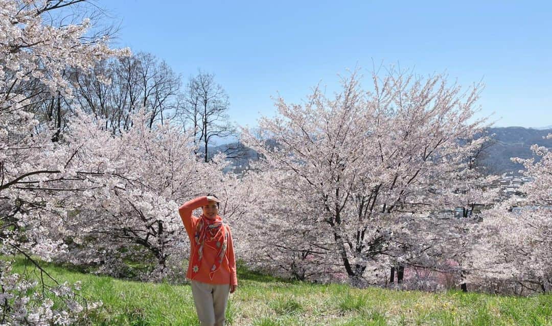 のインスタグラム：「◯◯◯  軽井沢もちらほら桜を見かける季節になってきました。 去年より1週間位早いようです。  東京はすっかり卒業シーズンの花になってしまいましたが、長野県はちょうど入学式の頃ですね。  やっぱり桜は良い！  いつまででもそこに身を置いて眺めていたいです。  #桜」