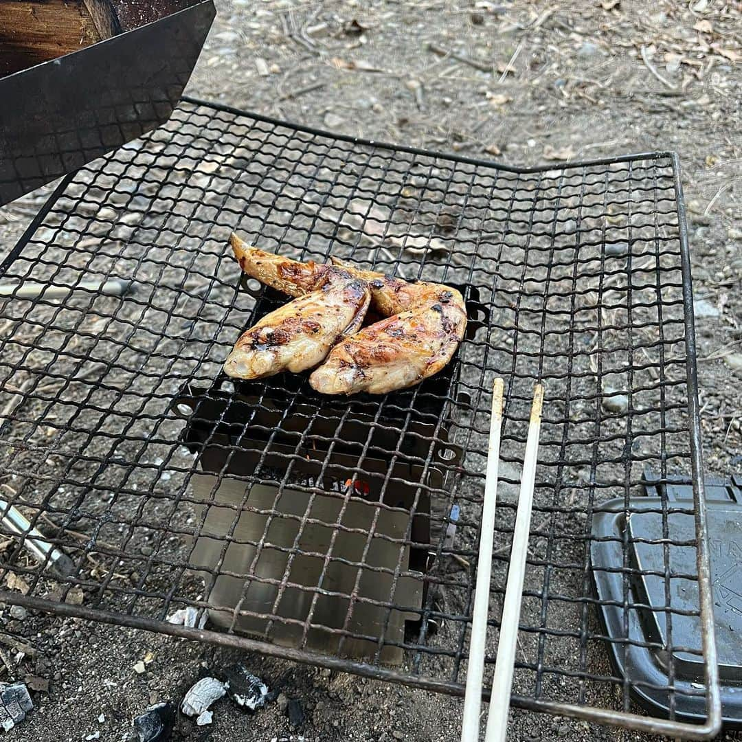 野村良平さんのインスタグラム写真 - (野村良平Instagram)「何で普段と違ってこんなにグビグビビールが進むのだろうか  やばい！ 今まで培ってきた常識が崩壊してきた！宇宙の法則が乱れてきた！木々たちがうめぇ！水一つだけで何百年生きる木って半端ねぇ！何がタンパク質だ人間よ！NHKスペシャル！」4月10日 17時49分 - nomura_ryohei