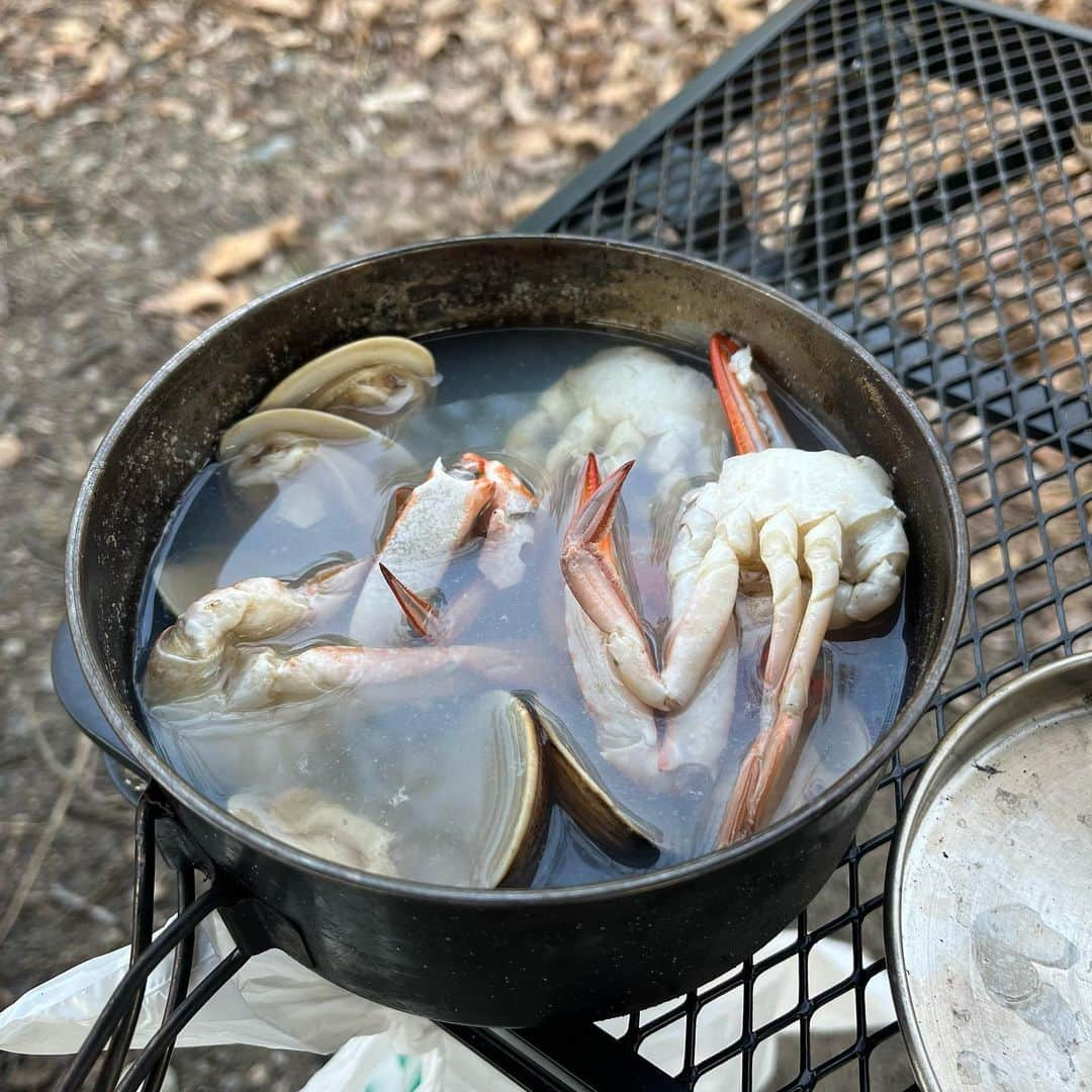 野村良平さんのインスタグラム写真 - (野村良平Instagram)「何で普段と違ってこんなにグビグビビールが進むのだろうか  やばい！ 今まで培ってきた常識が崩壊してきた！宇宙の法則が乱れてきた！木々たちがうめぇ！水一つだけで何百年生きる木って半端ねぇ！何がタンパク質だ人間よ！NHKスペシャル！」4月10日 17時49分 - nomura_ryohei