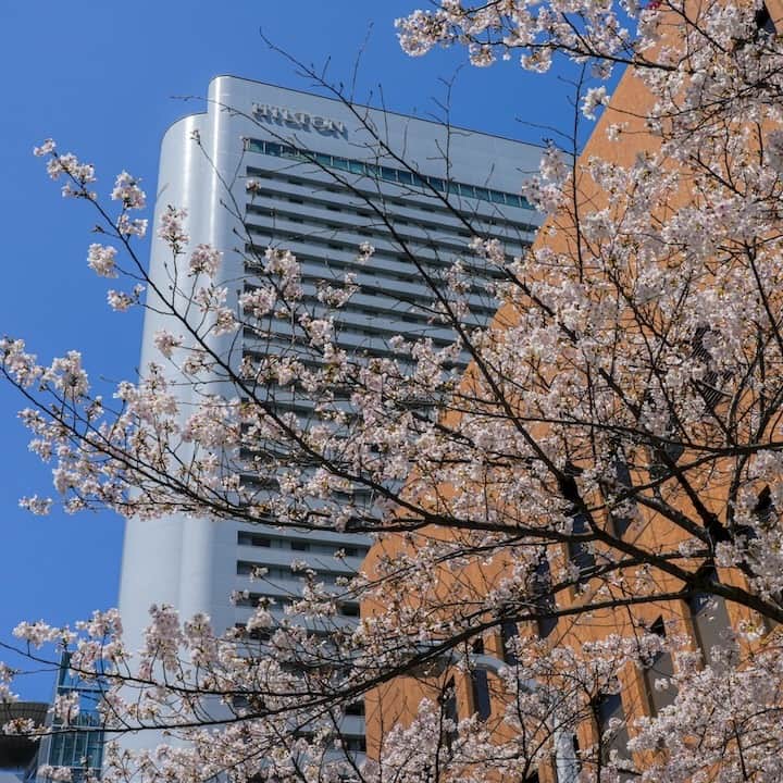 ヒルトン大阪 Hilton Osakaのインスタグラム：「あたたかい春の陽気を浴びながらお出かけはいかがですか。  ヒルトン大阪は、JR大阪駅より徒歩2分、阪神電車「大阪梅田駅」より徒歩1分と大変便利な立地にあります。  電車で約30分圏内の京阪神の観光へはもちろん、少し足を延ばして奈良や和歌山旅行の拠点としてもおすすめです。 観光や散策を満喫した後はホテルに帰ってゆっくりと寛げる、そんな贅沢な春の旅行はいかがでしょう？  宿泊のご予約は @hiltonosaka  ホームページより。  Looking for an opportunity to enjoy outing in the warm spring weather?  Our hotel is conveniently located just a 2-minute walk from JR Osaka Station and a 1-minute walk from Osaka-Umeda Station on the Hanshin Railway, making it the perfect starting point for your travels. Kyoto and Kobe are all within a 30-minute train ride from the hotel, and Nara and Wakayama are just a little further out, which makes our hotel the ideal base for your trip.  After a day of exploring, return to the hotel and relax in luxurious comfort.  Why not treat yourself to a truly unforgettable spring trip?  For more details and to make a reservation, please visit our website at @hiltonosaka   ＝＝＝ #ヒルトン大阪 #春の旅行 #GW #大阪旅行 #関西旅行 #大阪ホテル #ホテルステイ #近畿旅行 #HiltonOsaka #JapanTrip #JapanTravel #OsakaTravel #OsakaHotel #springjapan」