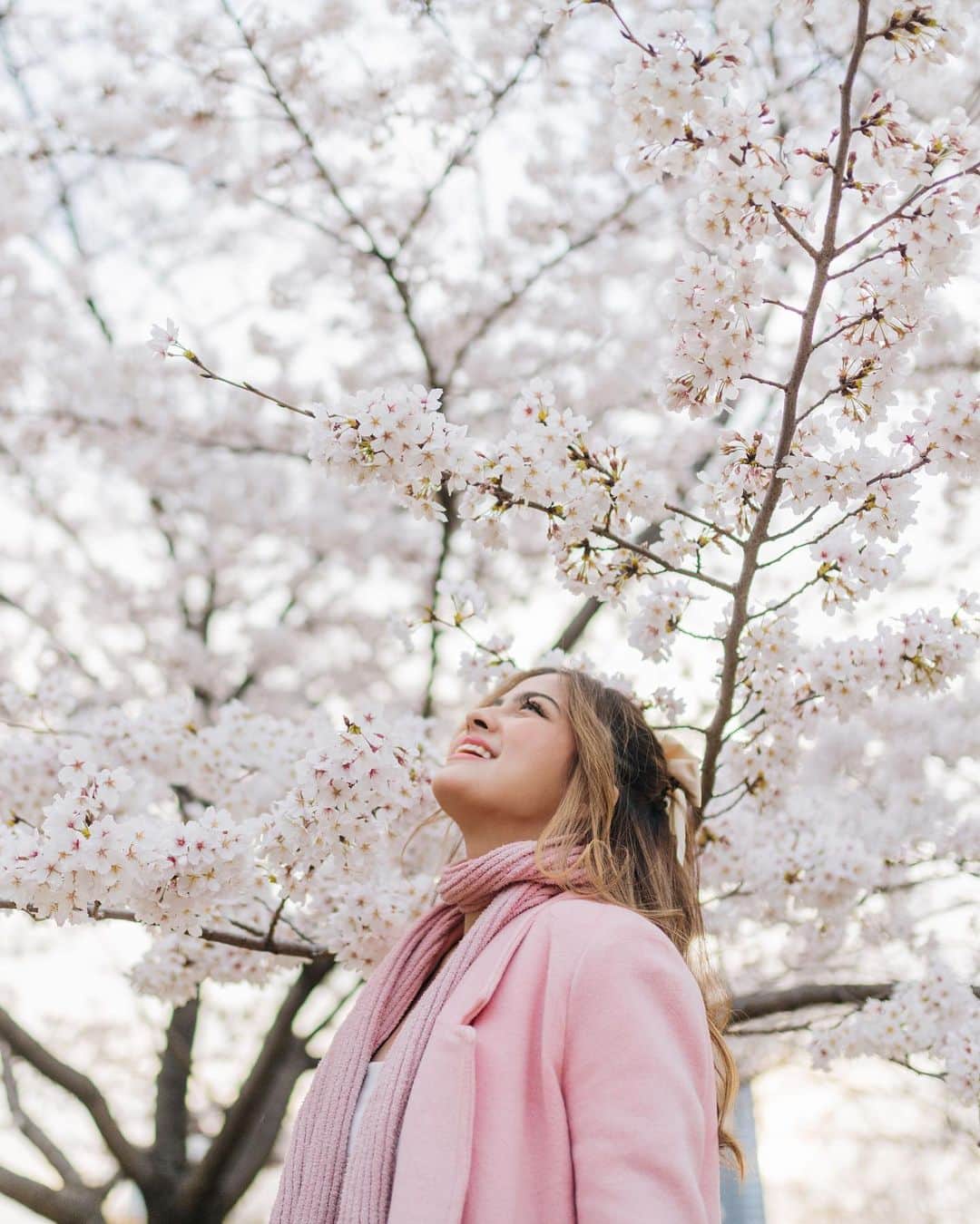 Alexa Ilacadさんのインスタグラム写真 - (Alexa IlacadInstagram)「Another core memory unlocked 🔐🌸  📷 Incredible photos by @sweet.escape 🤍 Memories are timeless treasures of the heart. You can use my code “ALEXA10” for 10% off + 10 extra photos for a photoshoot in any destination with SweetEscape! #Japan #Osaka #Hanami #Sakura #CherryBlossoms #DreamComeTrue #AnsweredPrayer #happiestplaceonearth」4月10日 18時00分 - alexailacad