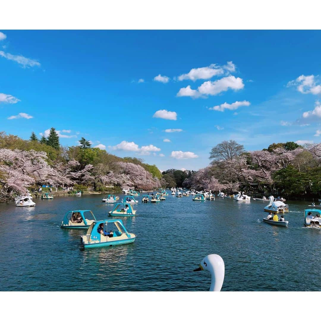 ダンソン・タンさんのインスタグラム写真 - (ダンソン・タンInstagram)「隨意走走 看不完 發不完📸 - #DT #tokyo #cherryblossom  #唐禹哲」4月10日 18時00分 - dt_0902