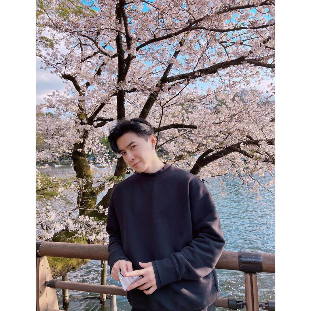 ダンソン・タンのインスタグラム：「隨意走走 看不完 發不完📸 - #DT #tokyo #cherryblossom  #唐禹哲」