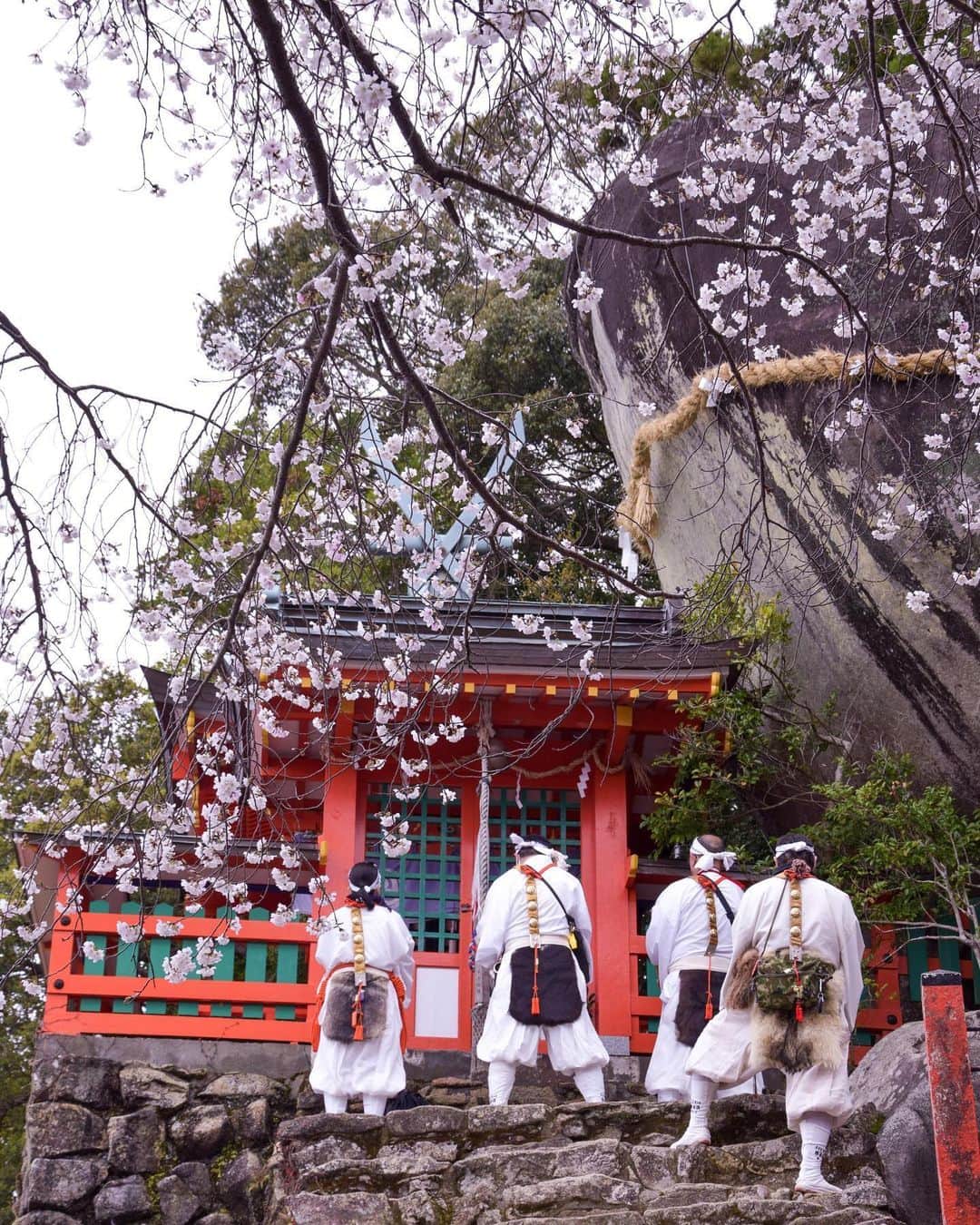 Visit Wakayamaのインスタグラム：「. Pilgrims approach Kamikura-jinja Shrine, perched under the massive Gotobiki-iwa Rock. 📸 @kazz1109 📍 Kamikura-jinja Shrine, Wakayama」