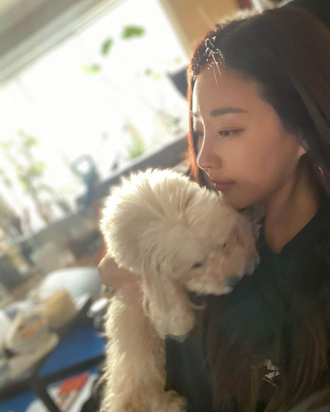 キム・サランさんのインスタグラム写真 - (キム・サランInstagram)「#강아지인형인가#넘귀여움#사진찍기힘듦 🙈🙂#제발카메라봐줘」4月10日 18時09分 - sarangkim.love