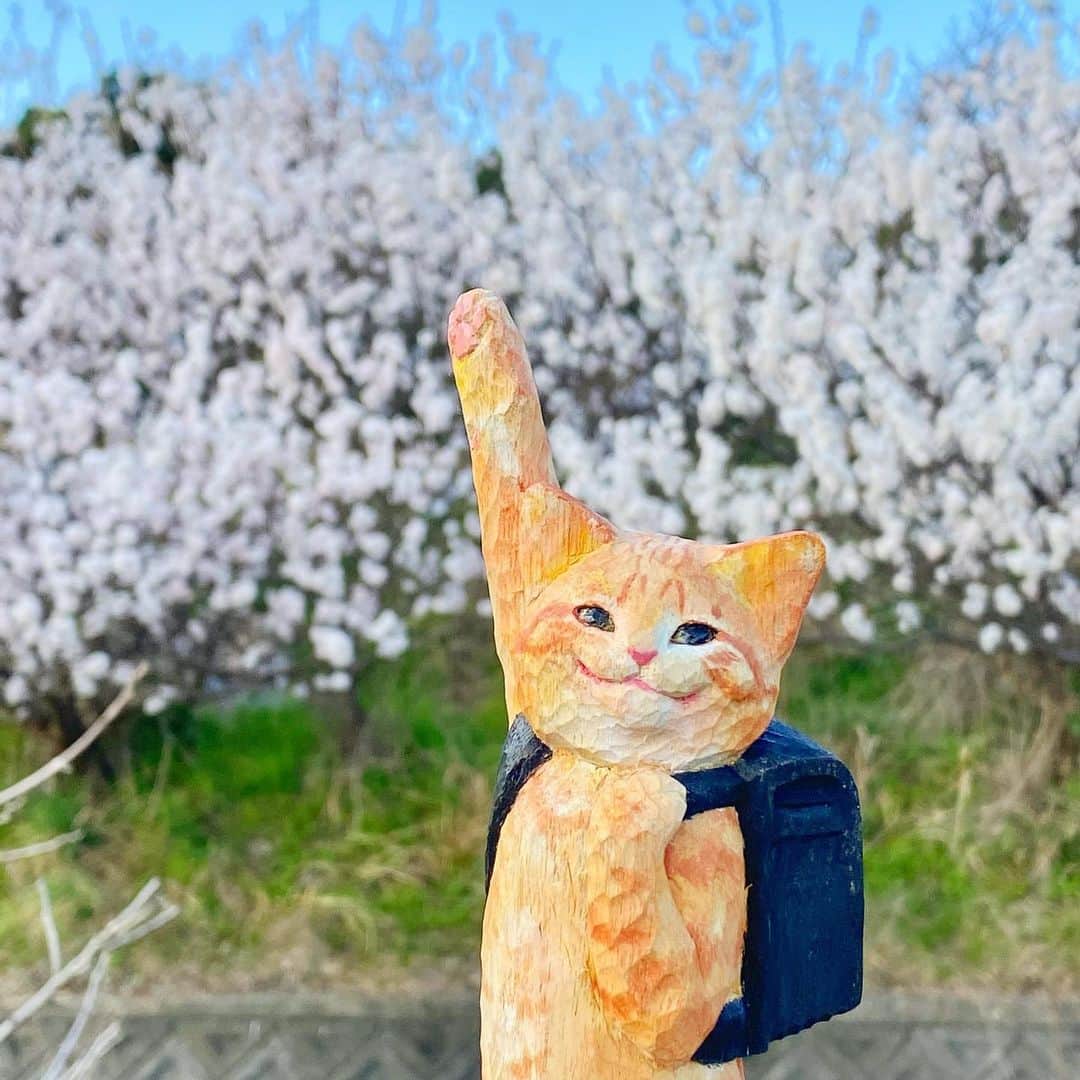 花房さくらさんのインスタグラム写真 - (花房さくらInstagram)「今日、入学式だった子いますかー？  「はーい！！」  #入学式 #cat #sculpture #hanafusasakura」4月10日 18時01分 - sakura_hanafusa