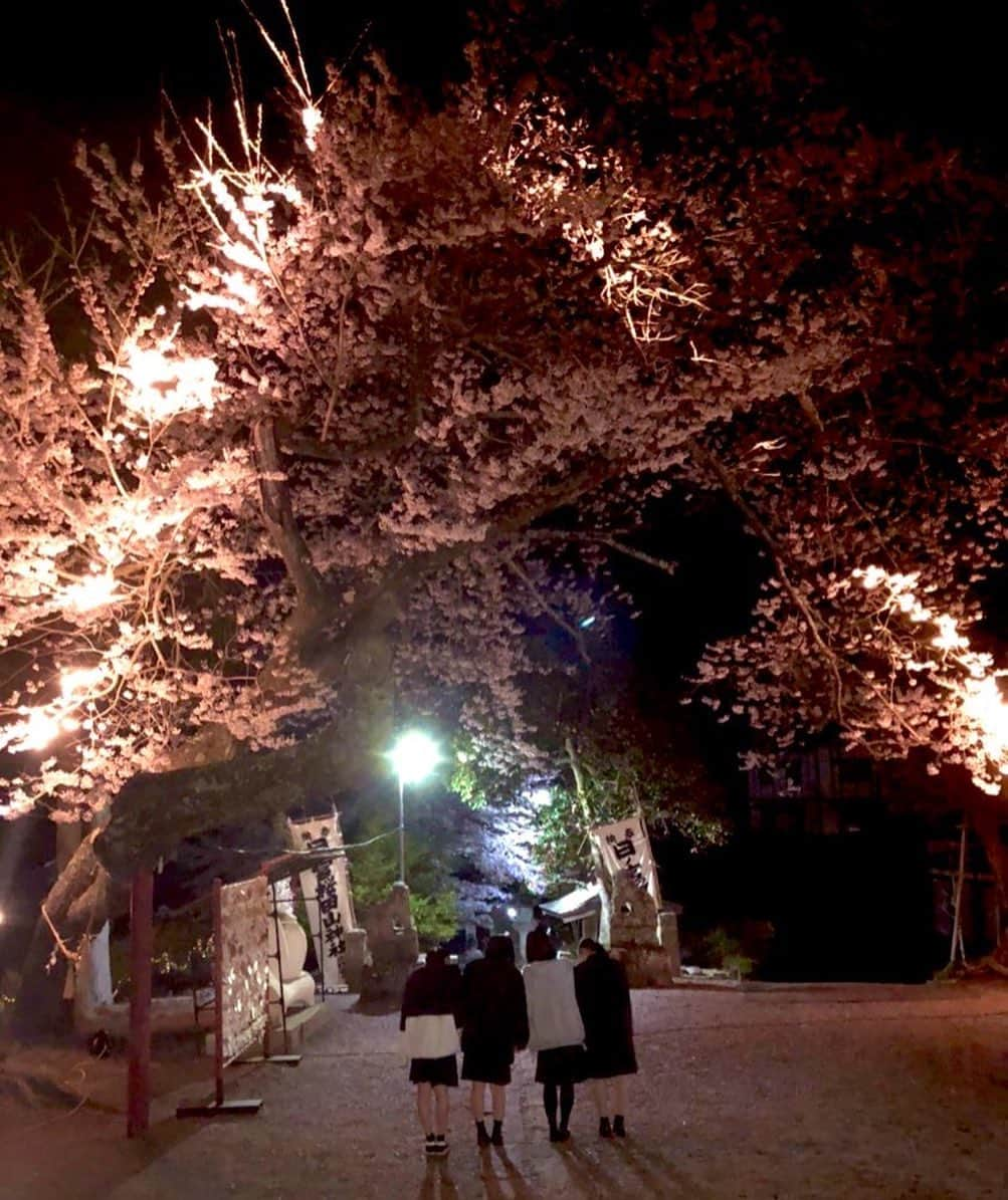 狩野英孝さんのインスタグラム写真 - (狩野英孝Instagram)「地元の高校生達が、実家の神社の桜をライトアップしてくれました🌸 めっちゃキレイです✨ありがとう⛩ #櫻田山神社 #岩ケ崎高校」4月10日 23時42分 - kano9x