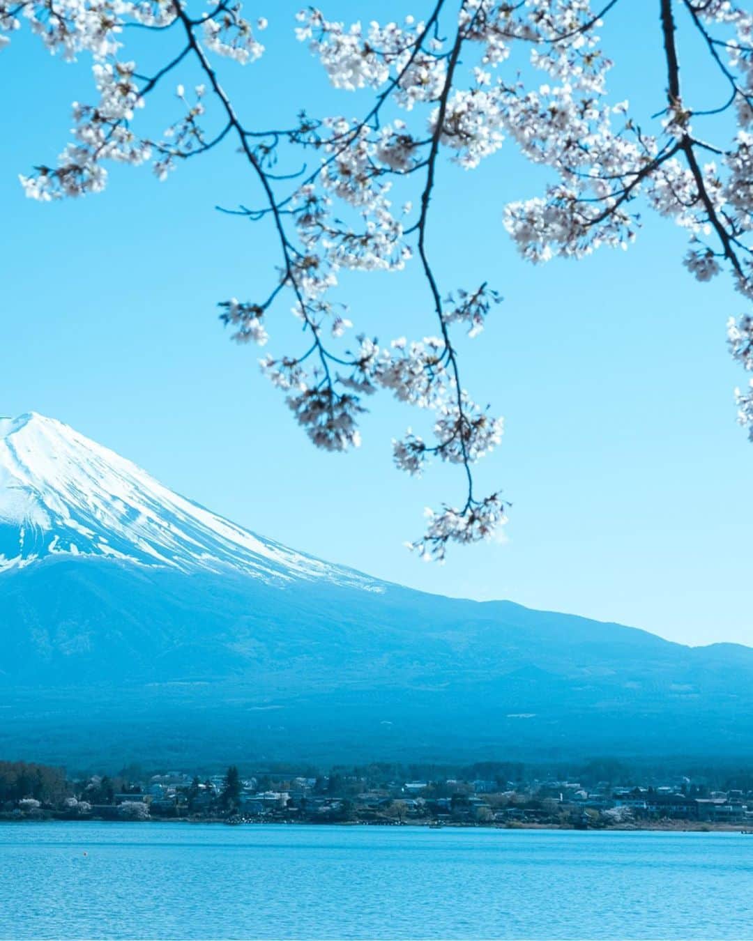 国分真央さんのインスタグラム写真 - (国分真央Instagram)「. I live in Yamanashi prefecture which is where Mt. Fuji is 🗻🌸 ⁡」4月10日 18時17分 - mao_kokubu