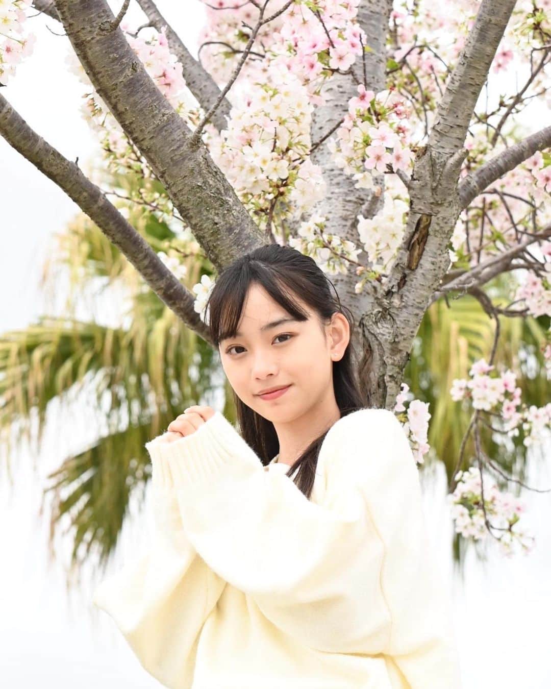 松本麗世さんのインスタグラム写真 - (松本麗世Instagram)「♡ ♡ 桜の花をみると気が引き締まります🤝🏻 新学期はドキドキワクワク✨ ♡ ♡ 新しい生活… ちょっとだけ大人に近づいたかな？ ♡ #松本麗世#matsumotoreiyo#モデル#ファッション#白セーター#水色スカート#桜#新学期#ウォーターフロント #桜島桟橋近く #カメラマンさん撮影#桜島」4月10日 18時41分 - reiyo.matsumoto