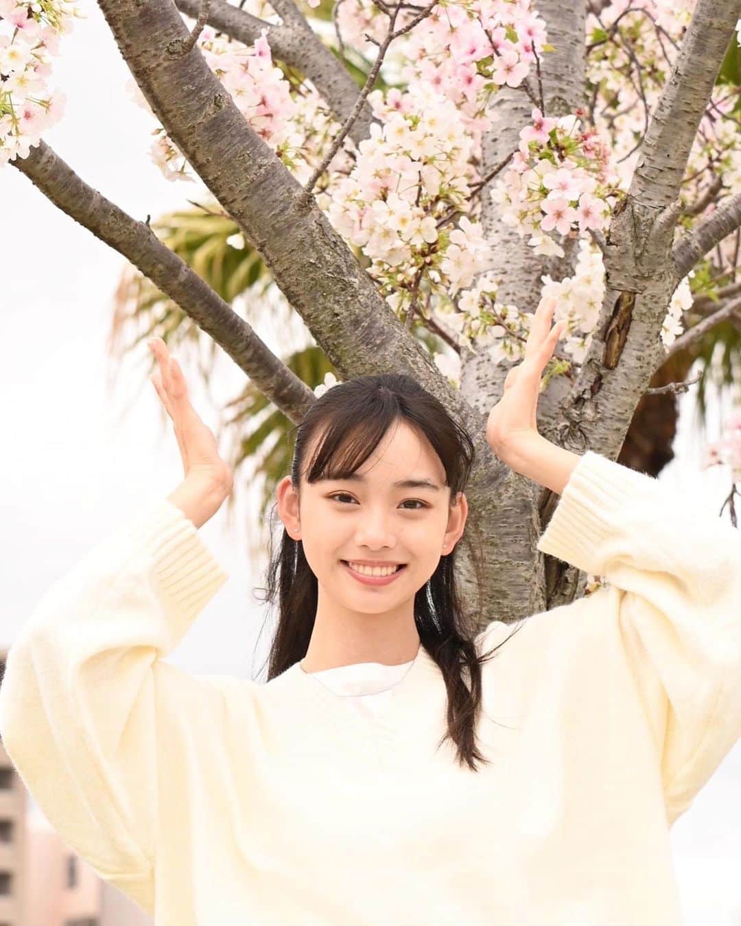 松本麗世さんのインスタグラム写真 - (松本麗世Instagram)「♡ ♡ 桜の花をみると気が引き締まります🤝🏻 新学期はドキドキワクワク✨ ♡ ♡ 新しい生活… ちょっとだけ大人に近づいたかな？ ♡ #松本麗世#matsumotoreiyo#モデル#ファッション#白セーター#水色スカート#桜#新学期#ウォーターフロント #桜島桟橋近く #カメラマンさん撮影#桜島」4月10日 18時41分 - reiyo.matsumoto