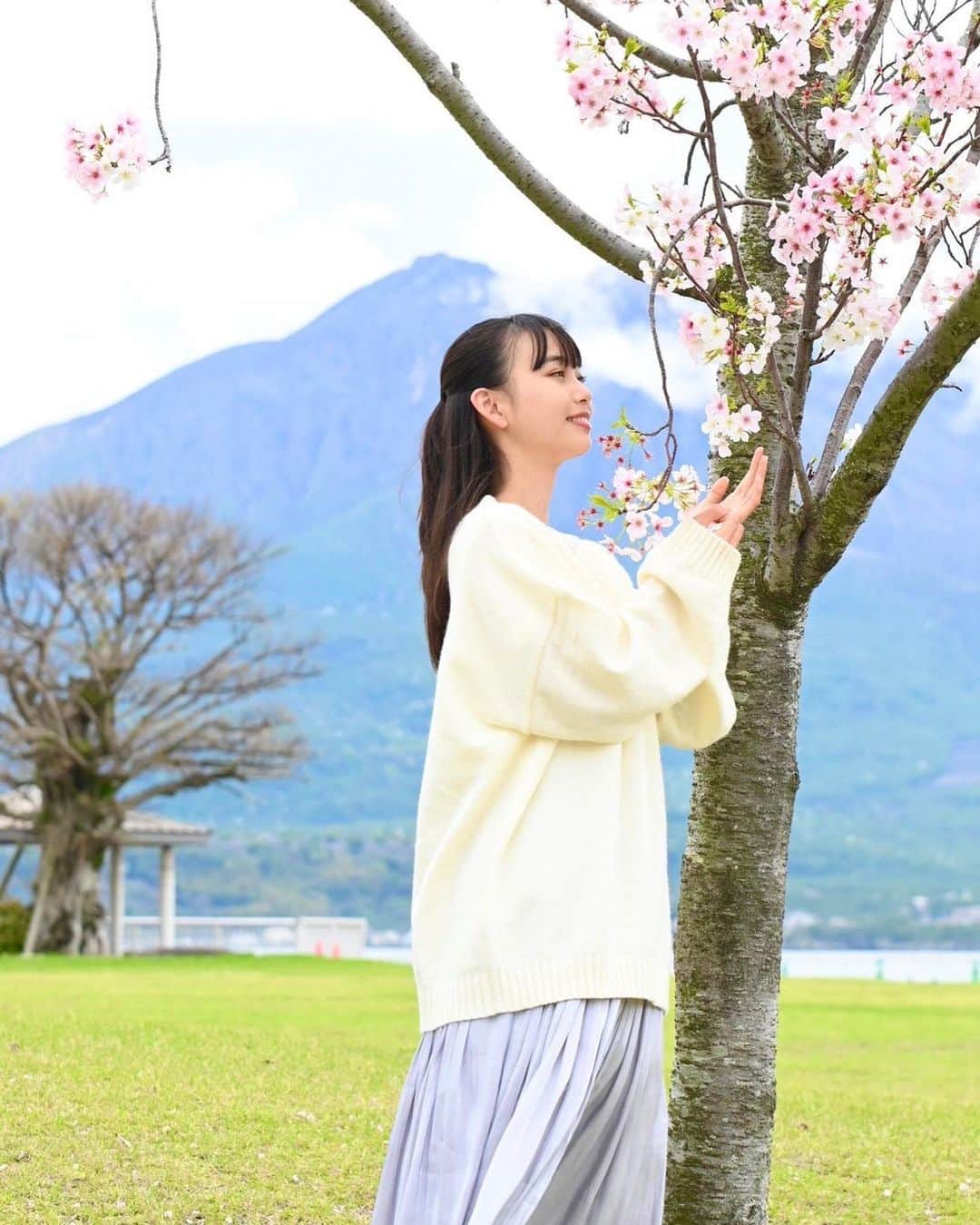 松本麗世さんのインスタグラム写真 - (松本麗世Instagram)「♡ ♡ 桜の花をみると気が引き締まります🤝🏻 新学期はドキドキワクワク✨ ♡ ♡ 新しい生活… ちょっとだけ大人に近づいたかな？ ♡ #松本麗世#matsumotoreiyo#モデル#ファッション#白セーター#水色スカート#桜#新学期#ウォーターフロント #桜島桟橋近く #カメラマンさん撮影#桜島」4月10日 18時41分 - reiyo.matsumoto