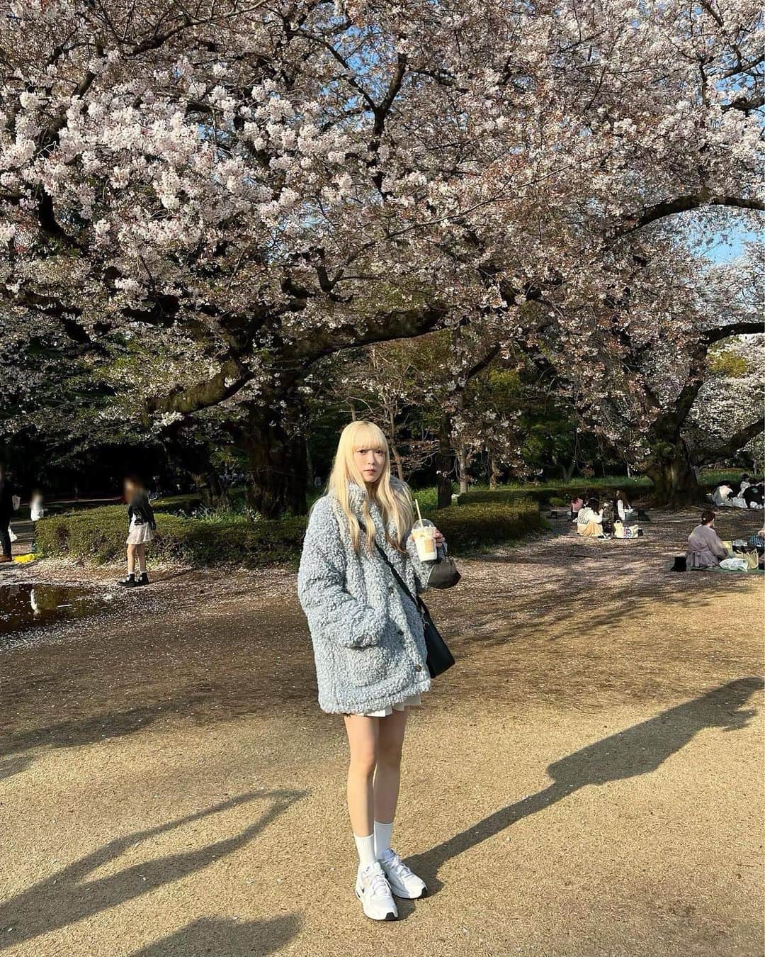 uyuのインスタグラム：「🌸」