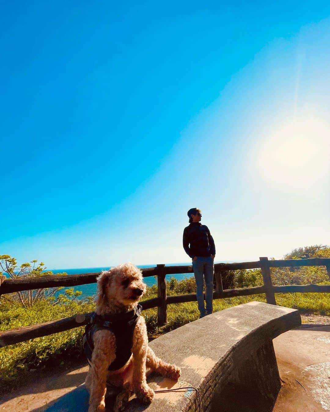 のインスタグラム：「癒し時間♡ mokoと海sanpo♪ #beautiful #ocean #nature #love #moko #mybaby #mylove #愛犬 #愛犬家 #癒し #癒し時間 #journey #appreciation #shooting #感謝 #マイケル富岡 #タレント #俳優 #撮影 #beach #resort #actor #actorslife #隠れ家」