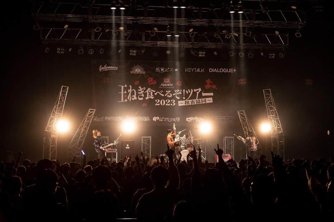 夜の本気ダンスさんのインスタグラム写真 - (夜の本気ダンスInstagram)「⁡ ⁡ Appare! 「玉ねぎ食べるぞ！ツアー2023 ～和衷協同～」 ⁡ 2023年4月8日(土) Zepp Namba ⁡ 1. LOVE CONNECTION 2. By My Side 3. Movin' 4. fuckin' so tired 5. WHERE? 6. GIVE & TAKE ⁡ photo：キムラユキ(@__glistenphobia) ⁡ #夜の本気ダンス #夜ダン #Appare #玉ねぎ食べるぞツアー #ZeppNamba #yorunohonkidance #music #live #rock #dance #japanesemusic」4月10日 19時08分 - honkidance_official