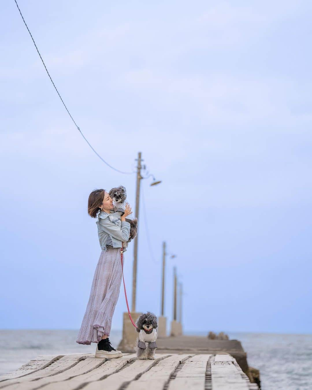 中野区在住のミニシュナのInstagramさんのインスタグラム写真 - (中野区在住のミニシュナのInstagramInstagram)「⑅︎◡̈︎* ・ 原岡桟橋✨  今回は曇り空でしたが、海に突き出した桟橋は気持ちが良いものですね🎶  この桟橋は〜 下が見えて波飛沫も板の間から来るので、マーブルは怖くて抱っこちゃんじゃないと渡れないんですょヾ(≧︎∪︎≦︎*)ﾉ〃 イヴは平気なもよう笑  館山方面に行く時は必ず立ち寄るスポットです！  #海と犬 #犬と旅行 #原岡桟橋 #千葉観光 #犬とお出かけ #わんこと一緒 #ジェニッカーズ #シュナウザー #シュナウザー好きさんと繋がりたい #シュナウザー大好き #シュナウザー多頭飼い #シュナウザーのいる暮らし #シュナスタグラム #ミニチュアシュナウザー #犬との暮らしを楽しむ #犬との時間 #schnauzer #schnauzerlove #schnauzerworld #schnauzergram #schnauzerlife #miniatureschnauzer」4月10日 19時16分 - marble_eve