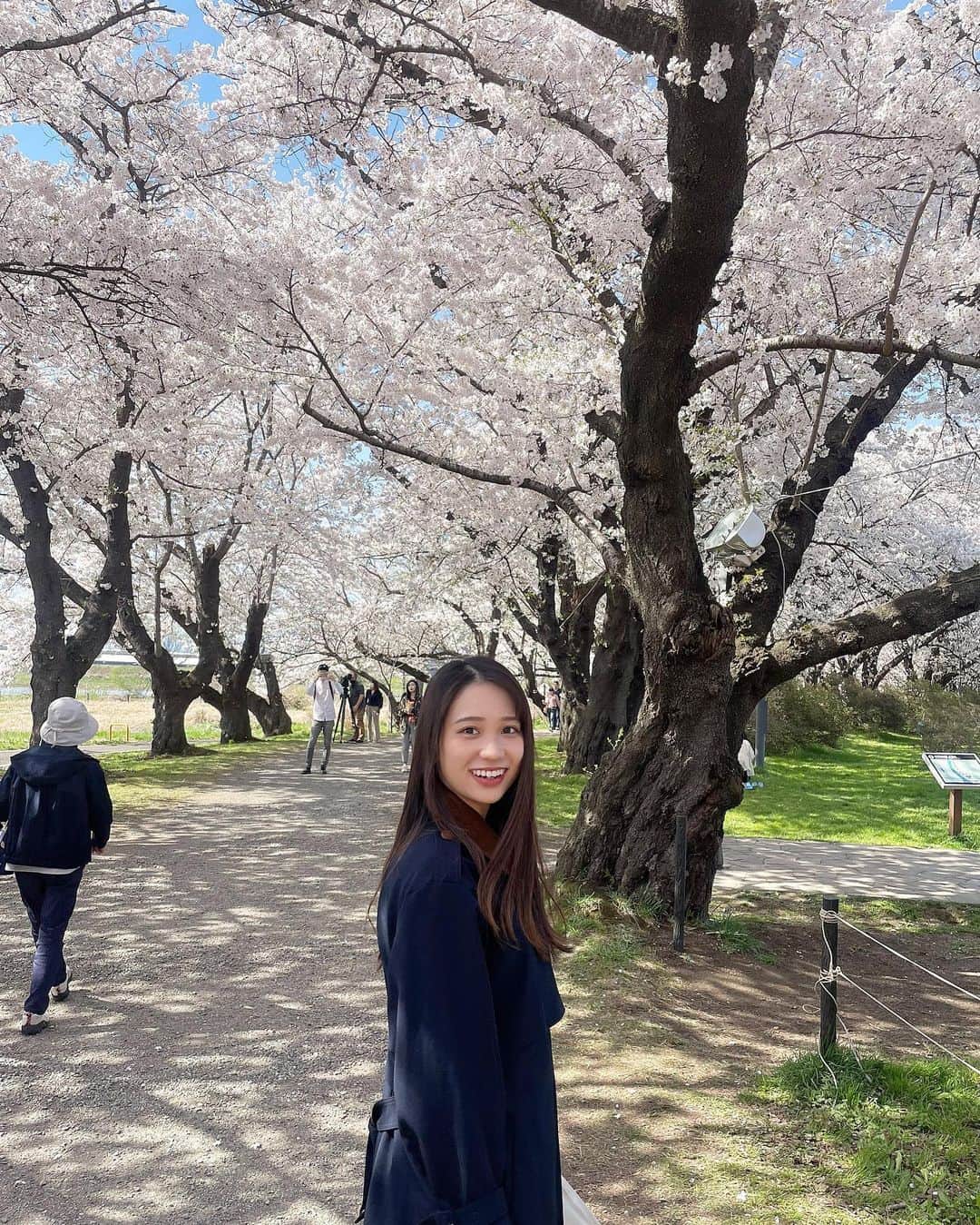 生形由佳のインスタグラム：「・ 満開~🌸🌸🌸  天気も良くて気持ちよかった🌞  #北上展勝地  #お花見  ------------------------------  シルエットが綺麗でお気に入りのコート🧥♡ ブラウンのボタンと襟がポイントになっていて可愛い🤎  @chicandthings.store」