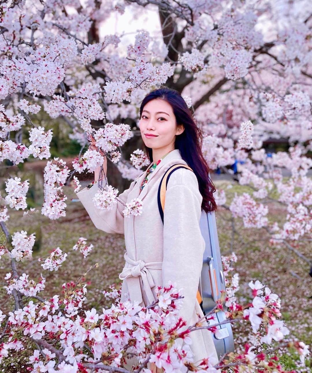 大庭絃子さんのインスタグラム写真 - (大庭絃子Instagram)「今年の桜も綺麗でした🌸 ⁡ #桜ポートレート#🌸#桜2023」4月10日 19時28分 - itokooba
