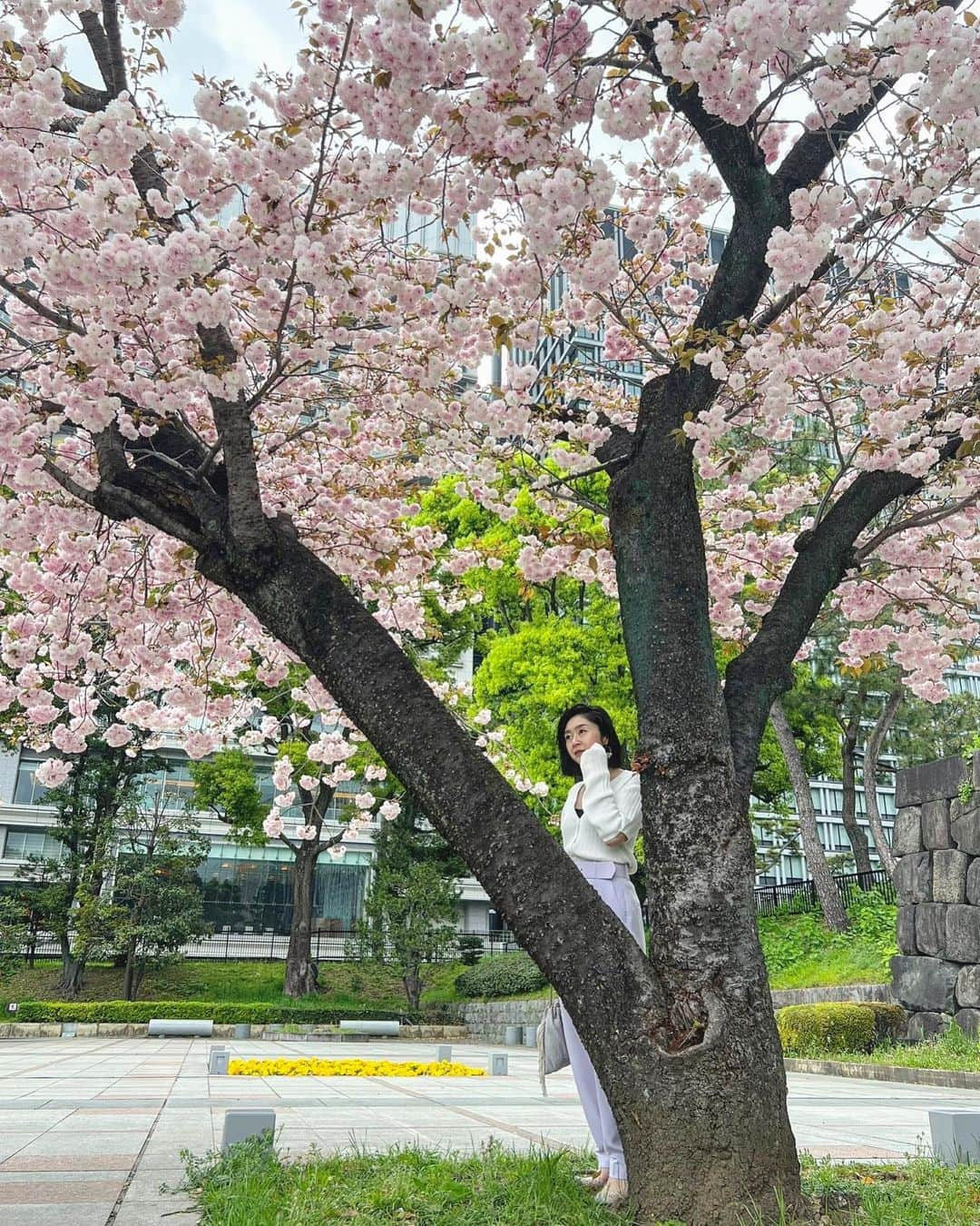 白澤美佳のインスタグラム：「✴︎✴︎✴︎  綺麗だね〜🌸  #🌸 #☀️ #🌳 #最後の桜かな  #portrait  #お散歩 #tokyo」