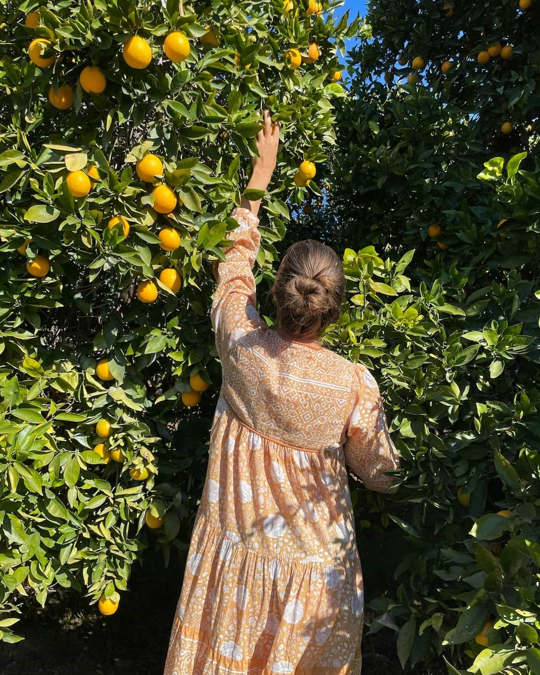 マッタのインスタグラム：「Just enjoying the local citrus season in Ojai, CA.⁠ ...seen here the Yamini Booj Dress in Nut⁠ •link in bio for more•⁠」