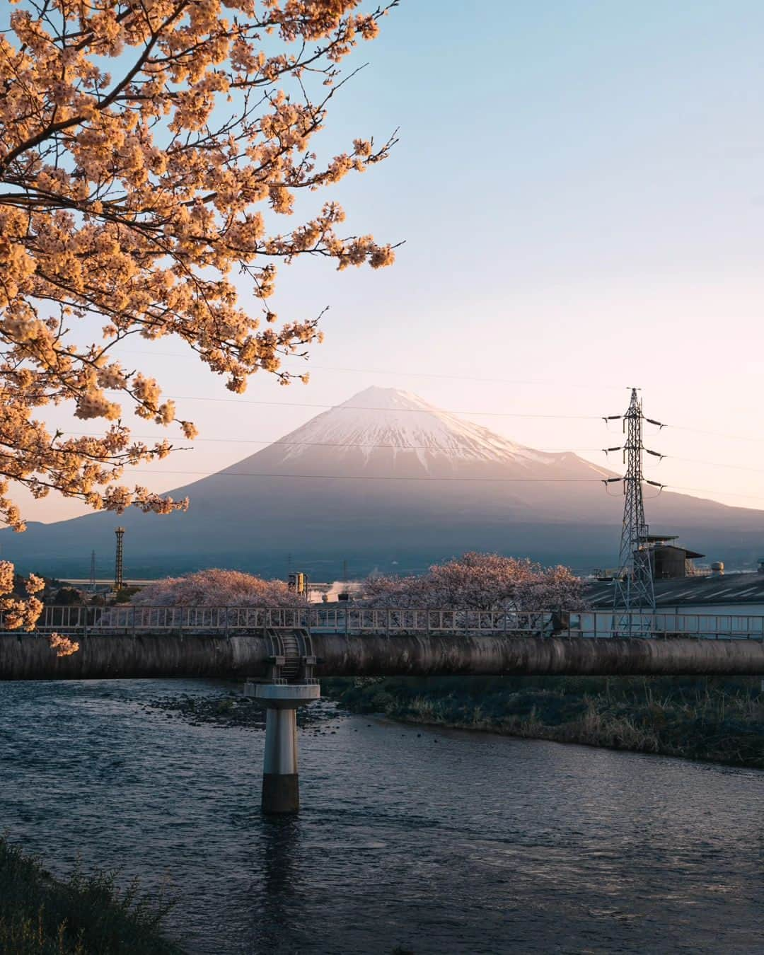 deepskyさんのインスタグラム写真 - (deepskyInstagram)「Cherryblossom 2023  . #sakura #cherryblossom . . I've just finished chasing Sakura. I've been to Mt. Fuji area , Kagawa , and Okayama. I didn't sleep sometimes but totally worth it.  . . 今年の桜は、富士山、香川県、岡山県を回りました。移動で睡眠不足になりましたが、キレイな桜を見れて楽しかったです。 . #earth #spring #beautifuldestinations #japan #桜 #春 #mtfuji #富士山 #travel #Photography」4月10日 20時03分 - _deepsky