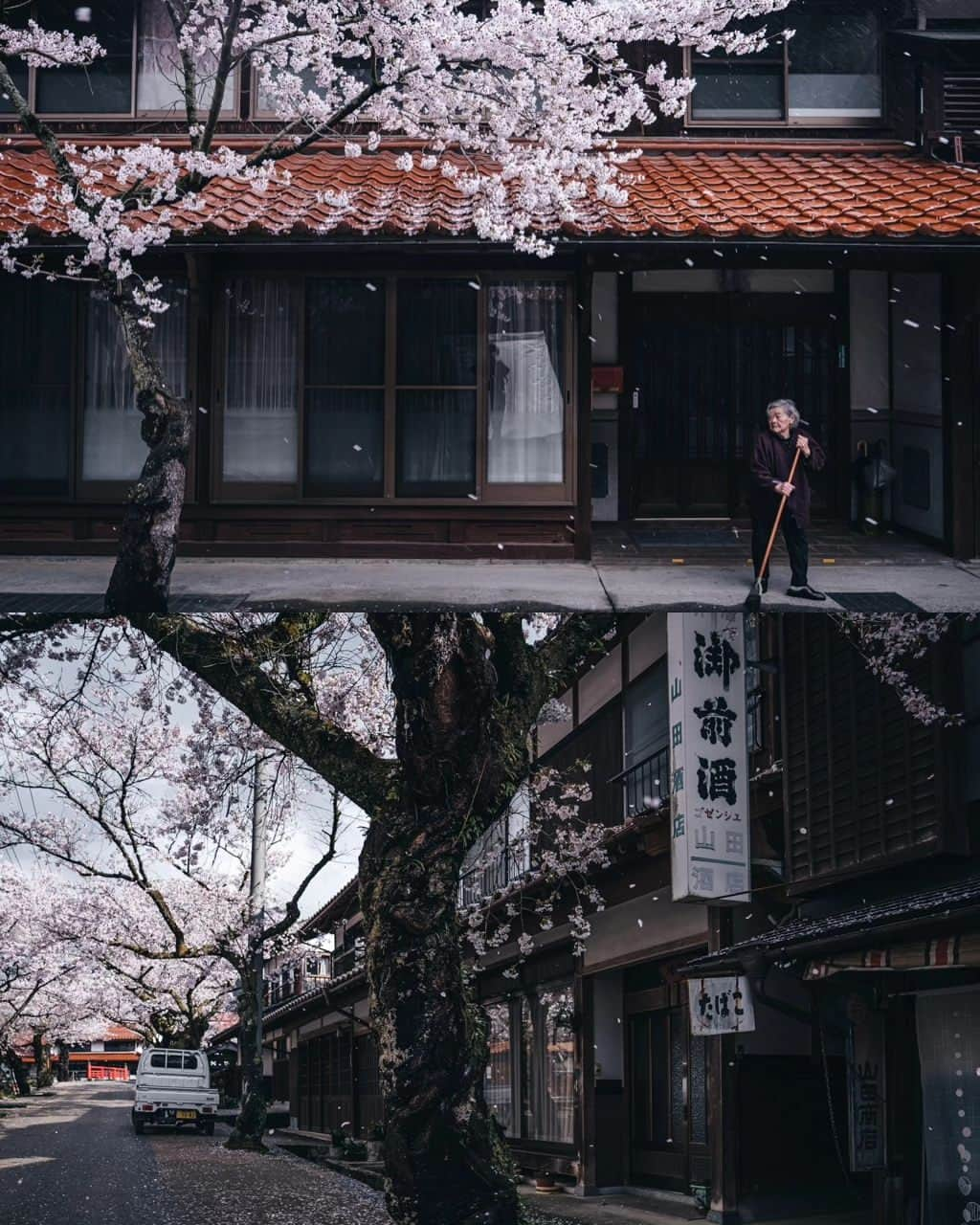 deepskyさんのインスタグラム写真 - (deepskyInstagram)「Cherryblossom 2023  . #sakura #cherryblossom . . I've just finished chasing Sakura. I've been to Mt. Fuji area , Kagawa , and Okayama. I didn't sleep sometimes but totally worth it.  . . 今年の桜は、富士山、香川県、岡山県を回りました。移動で睡眠不足になりましたが、キレイな桜を見れて楽しかったです。 . #earth #spring #beautifuldestinations #japan #桜 #春 #mtfuji #富士山 #travel #Photography」4月10日 20時03分 - _deepsky