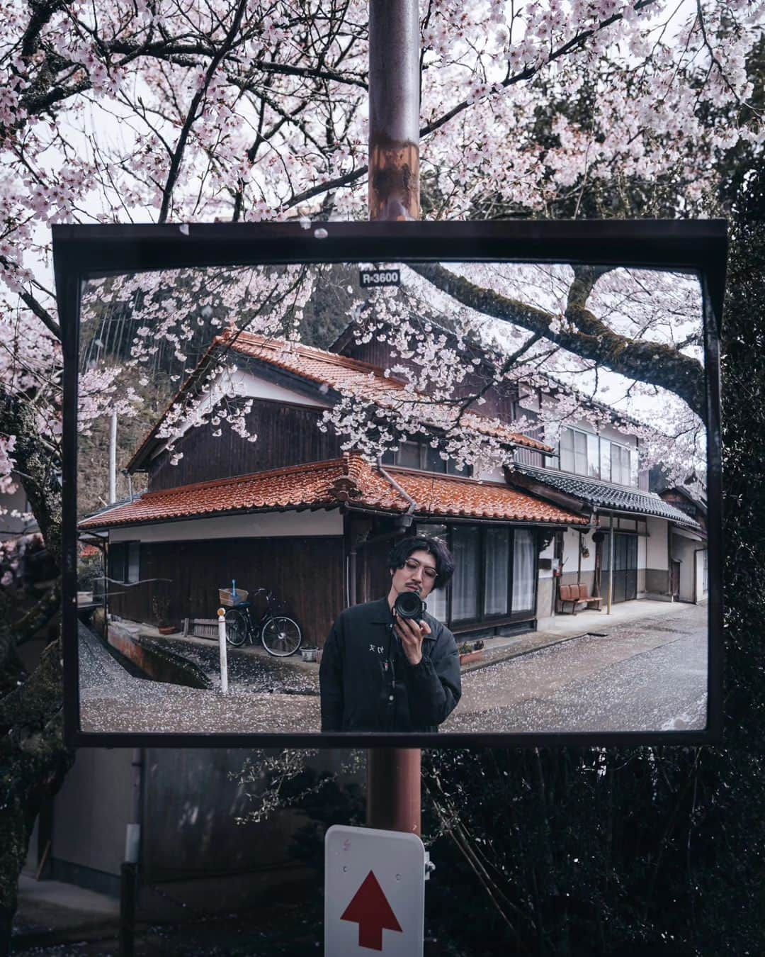 deepskyさんのインスタグラム写真 - (deepskyInstagram)「Cherryblossom 2023  . #sakura #cherryblossom . . I've just finished chasing Sakura. I've been to Mt. Fuji area , Kagawa , and Okayama. I didn't sleep sometimes but totally worth it.  . . 今年の桜は、富士山、香川県、岡山県を回りました。移動で睡眠不足になりましたが、キレイな桜を見れて楽しかったです。 . #earth #spring #beautifuldestinations #japan #桜 #春 #mtfuji #富士山 #travel #Photography」4月10日 20時03分 - _deepsky