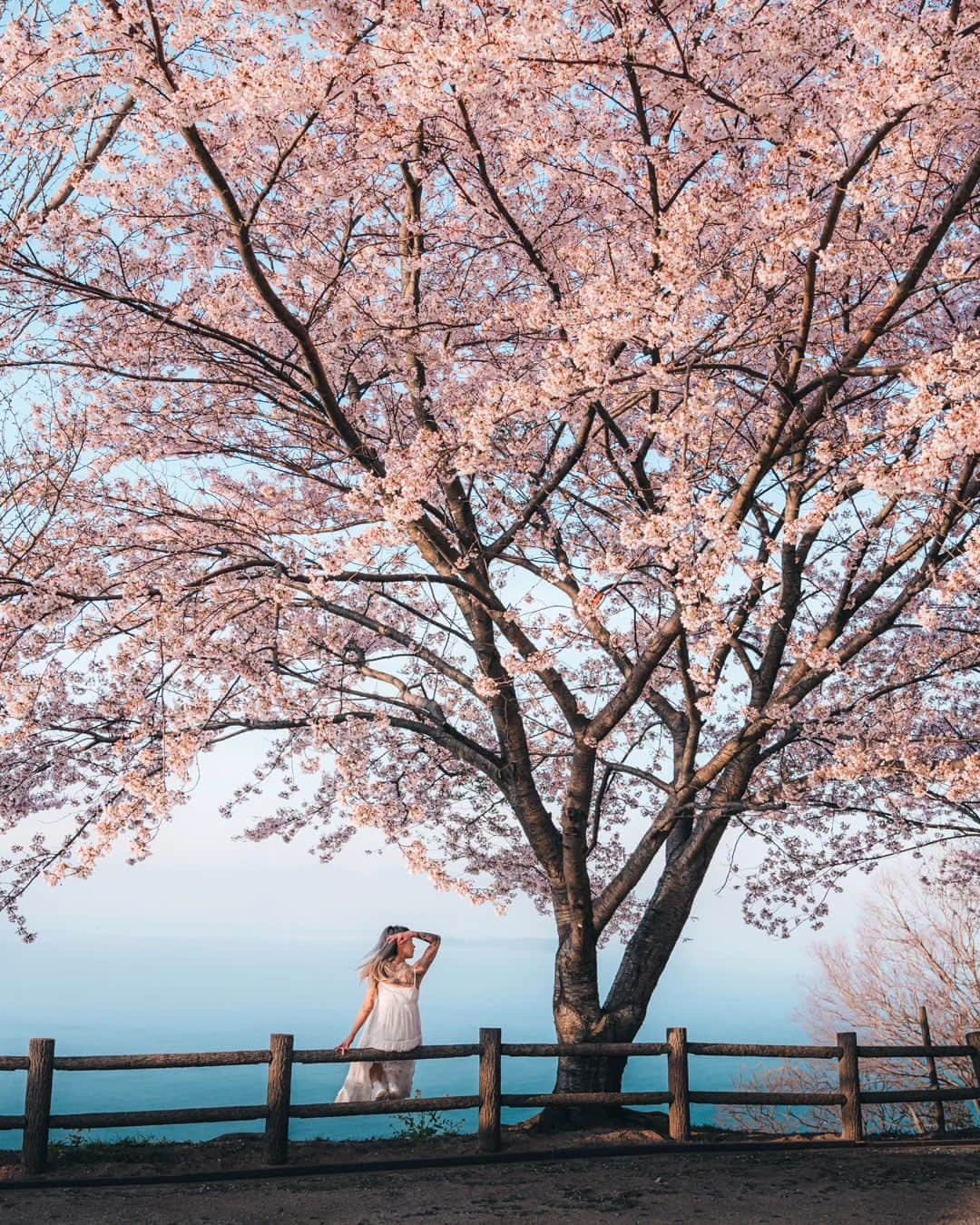 deepskyさんのインスタグラム写真 - (deepskyInstagram)「Cherryblossom 2023  . #sakura #cherryblossom . . I've just finished chasing Sakura. I've been to Mt. Fuji area , Kagawa , and Okayama. I didn't sleep sometimes but totally worth it.  . . 今年の桜は、富士山、香川県、岡山県を回りました。移動で睡眠不足になりましたが、キレイな桜を見れて楽しかったです。 . #earth #spring #beautifuldestinations #japan #桜 #春 #mtfuji #富士山 #travel #Photography」4月10日 20時03分 - _deepsky