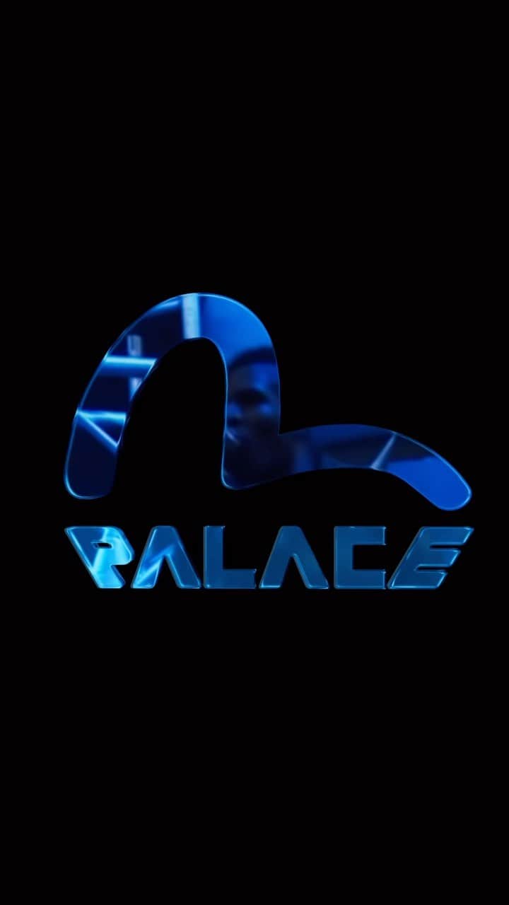 instagram-palace-evisu-back