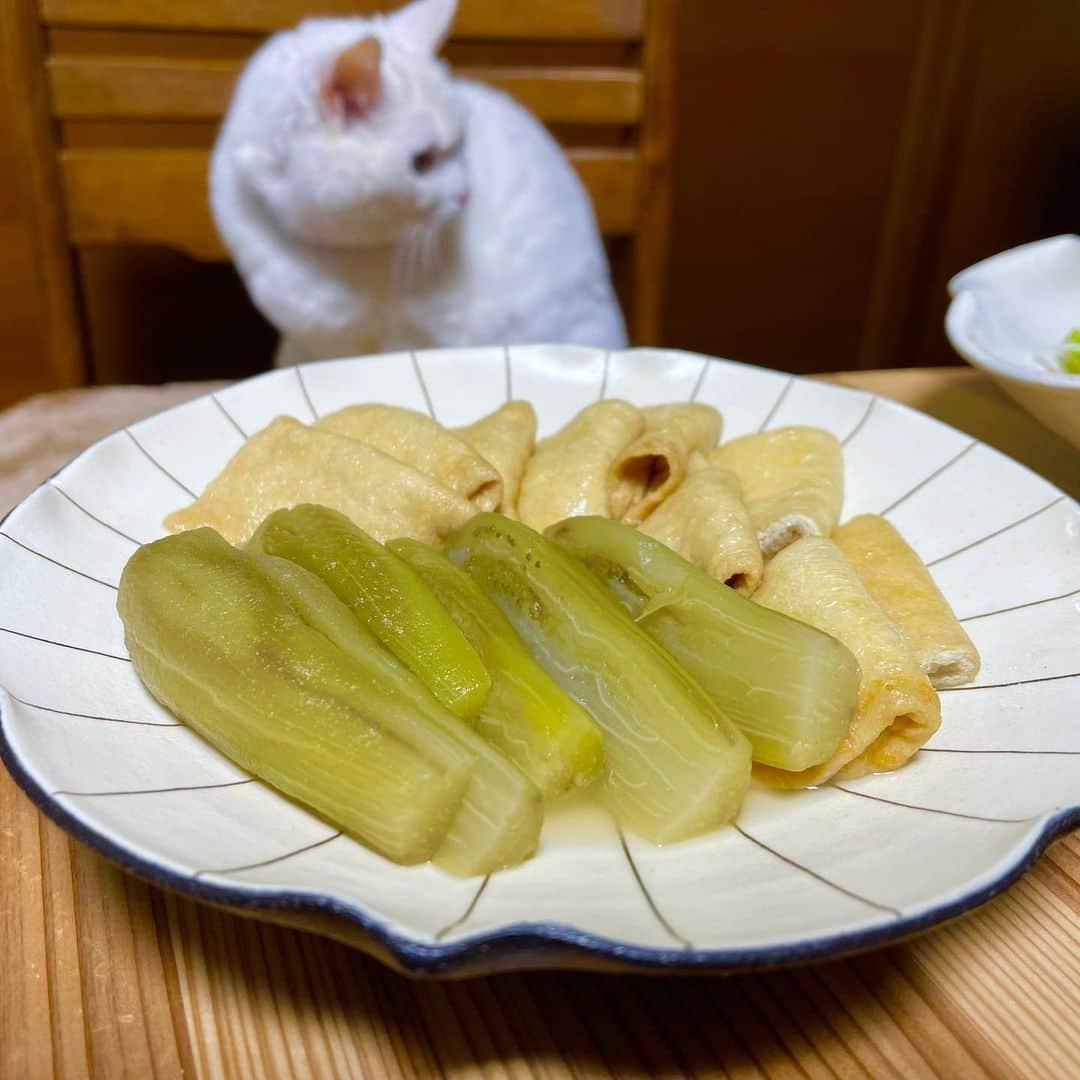 らんままさんのインスタグラム写真 - (らんままInstagram)「2023.4.10  今日のお夕飯⁣ ⁣ カニとホタテのマカロニグラタン⁣ トマトとキャベツのスープ⁣ 鶏肉とセロリの炒めもの⁣ 茄子と油揚げの煮物⁣ ほうれん草と長芋の塩昆布和え⁣ 野菜サラダ⁣ ⁣ ⁣ ⁣ こんばんは　月曜日ですね⁣ いつもご覧いただきましてありがとうございます⁣ ⁣ ⁣ 今日の動画は階段に座っている くぅさん です⁣ ⁣ 　⁣ ⁣ ⁣ ⁣ ⁣ いちにちお疲れさまでした⁣ ⁣ ⁣  #晩酌#晩御飯#献立#ばんごはん#おうち居酒屋#働く主婦の食卓#くぅさんを探せ#丸テーブル⁣ ⁣ ⁣ ⁣ ⁣」4月10日 20時15分 - ran.mamayo