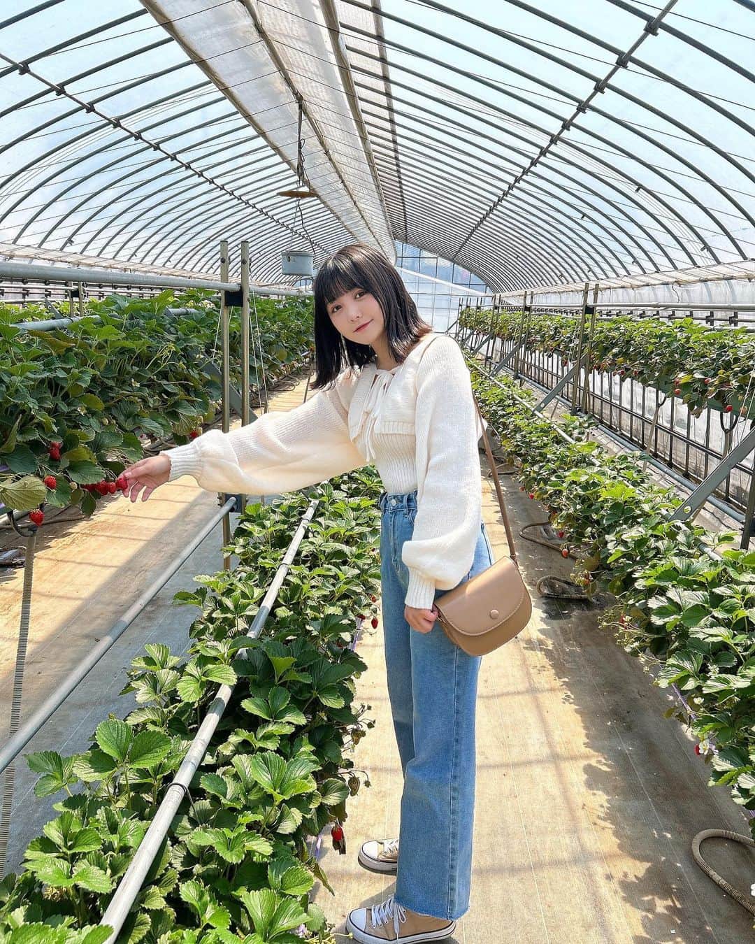 みさねのインスタグラム：「いちご狩りに行ってきた🍓 最後近い〜〜〜🐶💭 ㅤ いちご大好き楽しかった〜🌷 ㅤ 今日はガーリー×カジュアル ㅤ 春っぽコーデです🌼 ㅤ トップス靴 @grl_official  デニムバッグ @cham.official_  ㅤ #春コーデ #春服コーデ #ガーリーコーデ #カジュアルコーデ #デニムコーデ #grl購入品 #いちご狩り #デートコーデ #スニーカーコーデ #スニーカー女子 #プチプラコーデ」