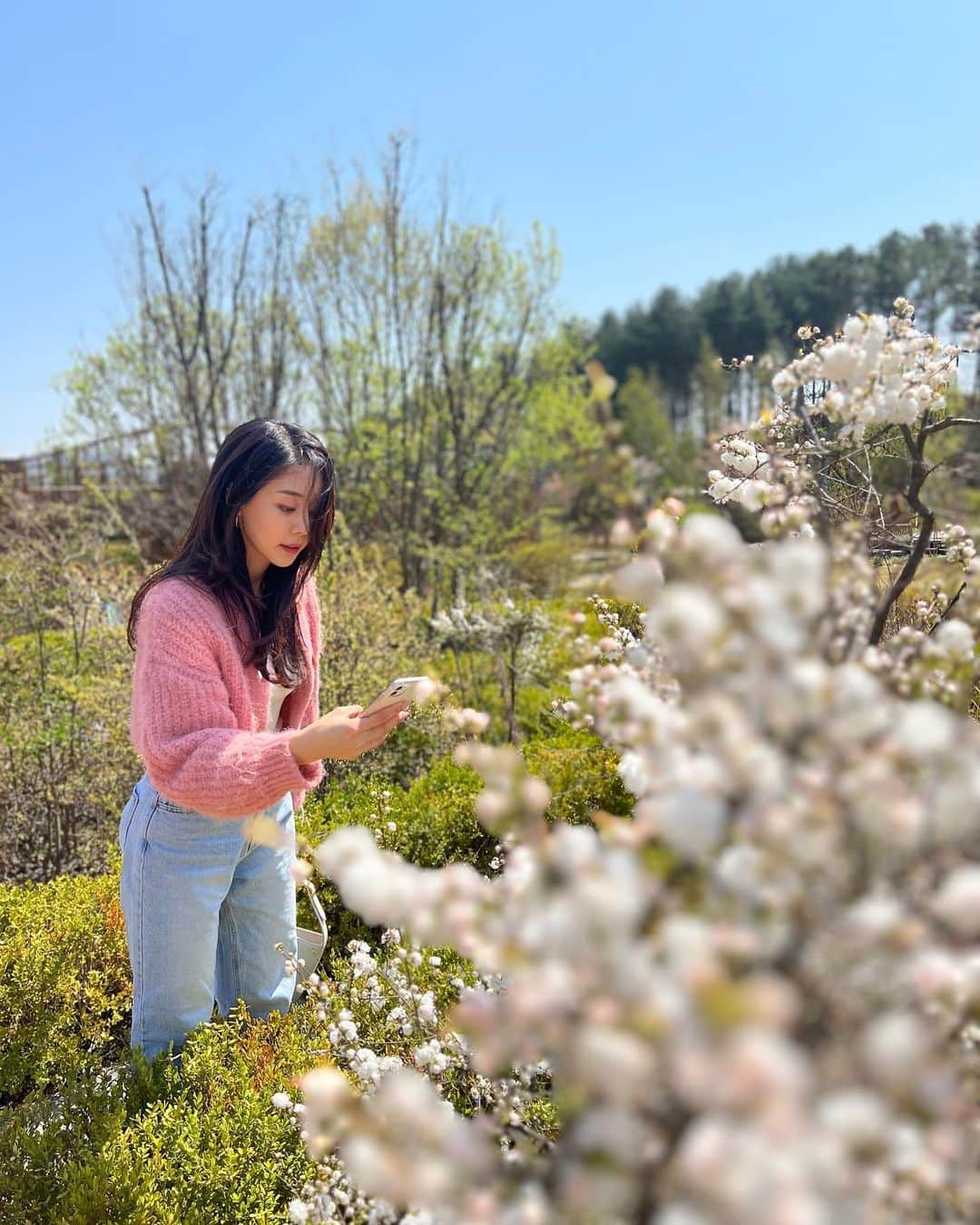 ピパ さんのインスタグラム写真 - (ピパ Instagram)「🌸💕🐷👅👛🌷」4月10日 20時35分 - bipa.diva