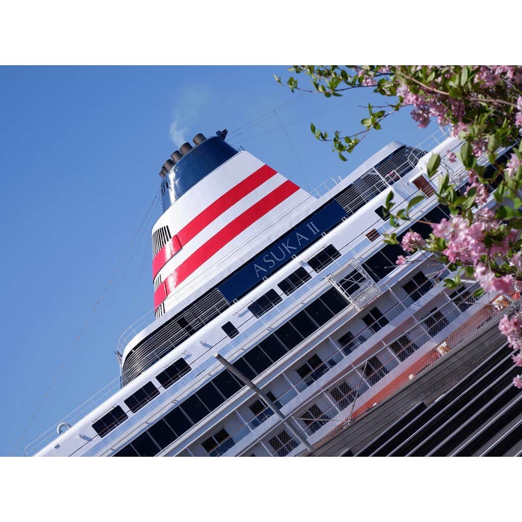 中山美香さんのインスタグラム写真 - (中山美香Instagram)「最近思うこと☺︎ 船も車も電車も飛行機もバイクも。 乗り物ってかっこいい！！！ あまりの船の大きさに最初は興奮気味だった我が子。 でも、途中から床の木がレールに見えたようで…。 プラレールを楽しんでおりました☺︎ . . . #乗り物 #船 #豪華客船 #飛鳥ⅱ #ウェステルダム #横浜 #大さん橋 #散歩 #子育て #2歳男の子 #westerdam #cruise #yokohama #osanbashi」4月10日 21時09分 - mika5nakayama
