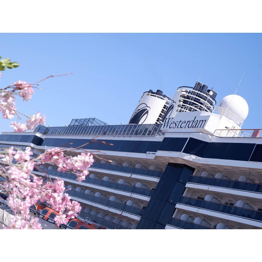 中山美香さんのインスタグラム写真 - (中山美香Instagram)「最近思うこと☺︎ 船も車も電車も飛行機もバイクも。 乗り物ってかっこいい！！！ あまりの船の大きさに最初は興奮気味だった我が子。 でも、途中から床の木がレールに見えたようで…。 プラレールを楽しんでおりました☺︎ . . . #乗り物 #船 #豪華客船 #飛鳥ⅱ #ウェステルダム #横浜 #大さん橋 #散歩 #子育て #2歳男の子 #westerdam #cruise #yokohama #osanbashi」4月10日 21時09分 - mika5nakayama