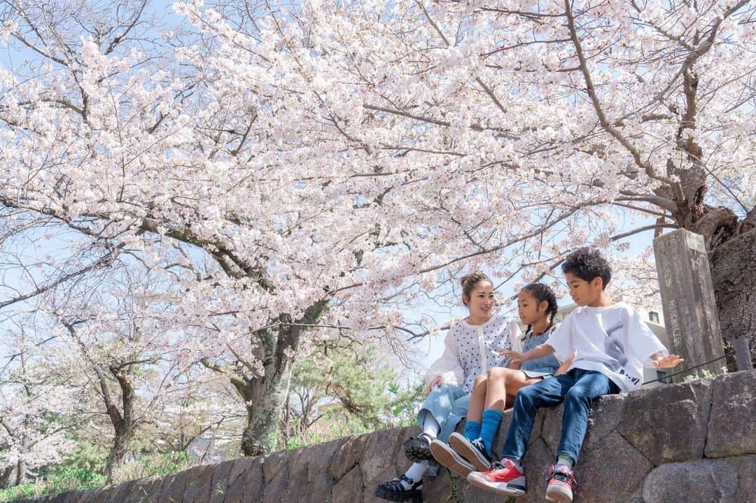 松本明子のインスタグラム：「・ 新学年おめでとう❤️娘は小5、息子は小4になりました🏫毎日元気に楽しく過ごしてくれたらそれだけでいいわと思ってたけど、年齢が大きくなるにつれて親の欲が出てきたり　 悩みも増えたりで、生きてるなーって実感する毎日です🙂 ところで、桜が満開の日に、子供達との自然な写真を沢山撮ってもらって最高の記念になりましたよ🌸やっぱりこうしてちゃんとしたカメラで思い出を残さないとだめやなと再確認🥲 来年も絶対にお願いすると決めた🌸 お宮参りや七五三、結婚式、日常の一コマなど、どんなシーンでも出張して撮ってくれます📷 photo by @yukiharu_okano 👏👏👏 ・ #桜#桜フォト#sakura#カメラマン#出張カメラマン #japanesesakura#kids#kidsphotography#年子#年子育児 #年子ママ  #新学年#春#spring」