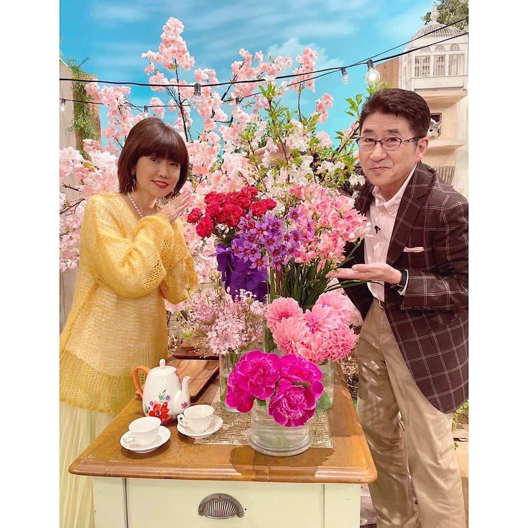 松本伊代さんのインスタグラム写真 - (松本伊代Instagram)「東海テレビ スイッチ！ 名古屋に行ってきました。  スイッチの皆々さまにも温かく迎えていただき😭 そして、 番組内ではメッセージをいただきまして、 ありがとうございました😭  スタジオは可愛い🌸🌸🌸 春のお花で溢れておりました🌸🌸  この日は、 お衣装にもぴったりで、 春のスタートにふさわしいかなと、 湯川れい子先生から、 デビュー当時に記念で頂いていた真珠のネックレスをつけて本番に臨みました！  そして 先日、またも湯川れい子先生から 湘南ゴールド頂きました！  今の時期しかいただけないやつ〜 とても甘くて そのままいただいても美味しいのですが れい子先生に教えていただいたとおりハチミツに付けてみました！ お湯に入れて飲んでも 美味しい〜。  湘南ゴールド 好きになりましたー。  いつも先生のお心遣いに、 感謝でいっぱいです！ ありがとうございました😊✨  #東海テレビ #スイッチ #久しぶりにお会いした #高井さん  #速水アナ #前田アナ #お天気ジョージさん #ありがとうございました #湯川れい子先生 #いつもありがとうございます #湘南ゴールド #松本伊代」4月10日 21時20分 - iyo14_official