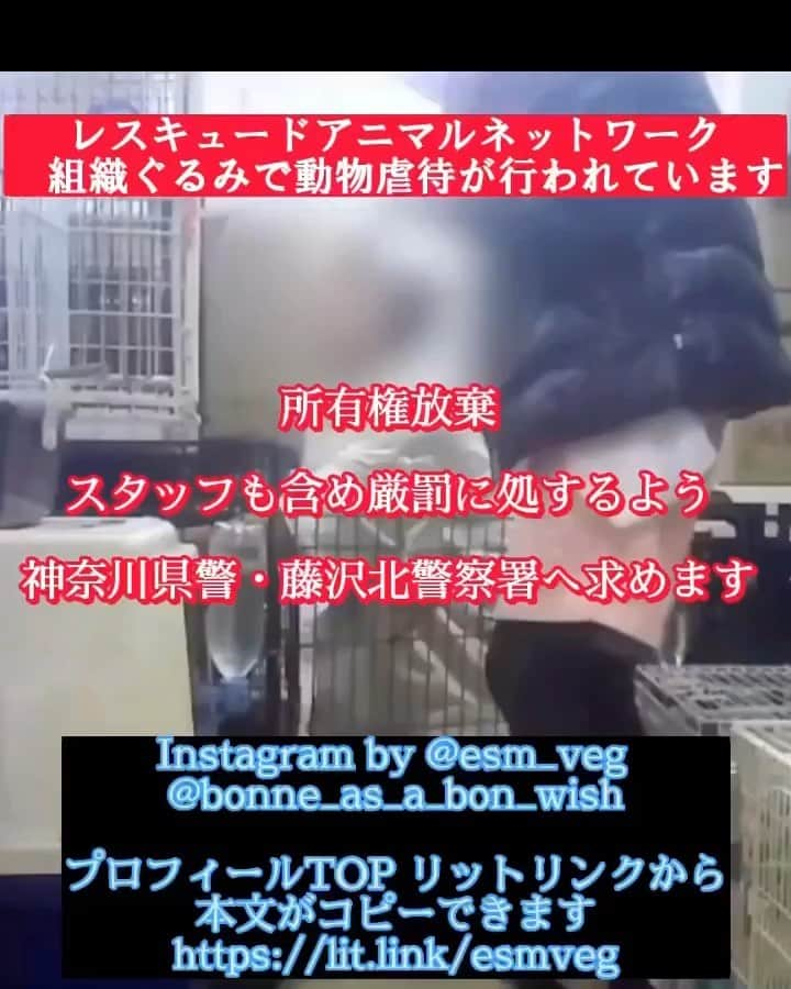 安藤志穂美のインスタグラム：「プロフィールのlit.link🔗から、文章をコピーして神奈川県警、藤沢北署へのアクション、ご協力よろしくお願いいたします！✍️  連日たくさん情報提供等いただいておりますが、 3回目の告発に関する情報提供はこちら(@esm_veg )によろしくお願い致します😭🙏  ※3回目の告発に関して、私は関与しておりませんので対応できかねます、ご留意ください。  以下リポスト🔻  #Repost @esm_veg  皆様いつもご協力をありがとうございます。 ⠀ 3度目の告発のご報告以降、神奈川テレビでの報道、FRIDAYの掲載、ツイストでのトレンド入り、これまでに無いほどとても大きな反響を頂いており、本当に感謝申し上げます。 ⠀ このまま私たちの勢いを止めず、 スタッフの虐待行為についての厳罰、 そして引き続きの所有権放棄に向けて、 神奈川県警、所轄の藤沢北警察署へアクションを行います。 ⠀ 神奈川県警宛のメッセージは、藤沢北警察署へも共有されます。 ⠀ プロフィールTOPにある リットリンクから本文コピーできますので是非引用し、アクションをお願いいたします。 ⠀ どうか皆様の声を届けてください！ 宜しくお願い致します。  #神奈川県 #動物虐待 #動物虐待反対 #所有権放棄 #レスキュードアニマルネットワーク」